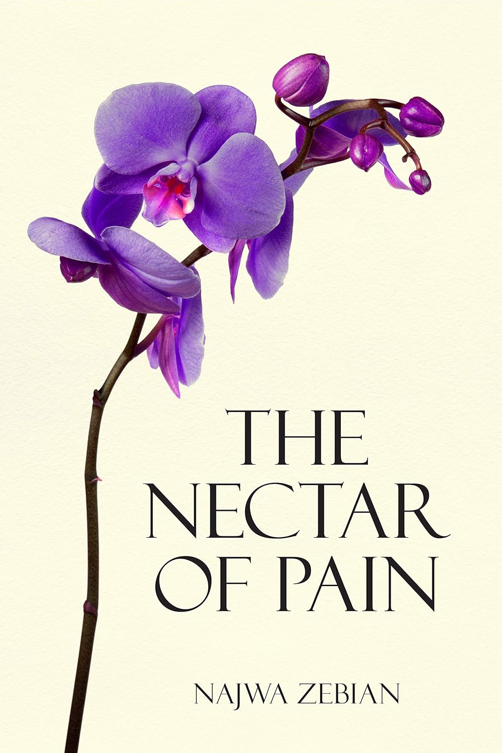 The Nectar of Pain by Najwa Zebian - Fiction - Paperback - Lets Buy Books