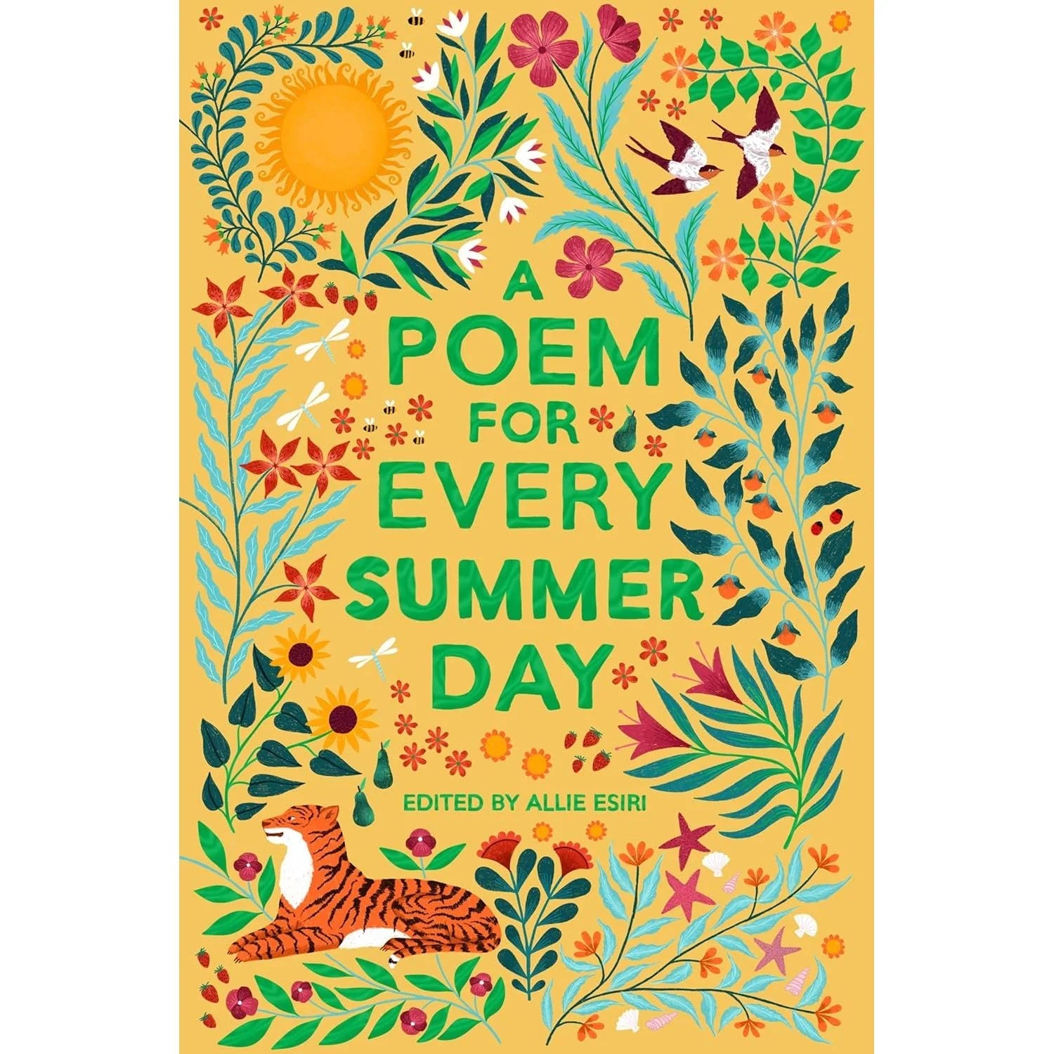 A Poem for Every Summer Day by Allie Esiri - Paperback poetry anthology, Book 3 in A Poem for Every Day and Night of the Year series, ages 9-11