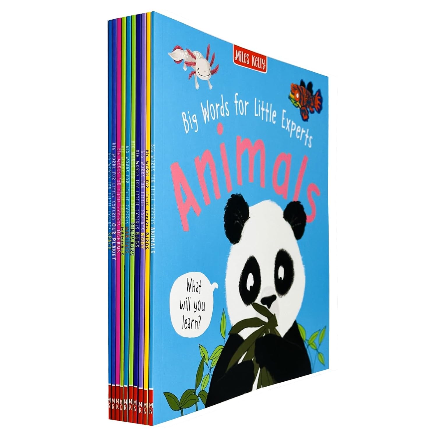 Big Words for Little Experts 10 Books Collection Set by Fran Bromage - Dinosaurs paperback cover - Ages 2+
