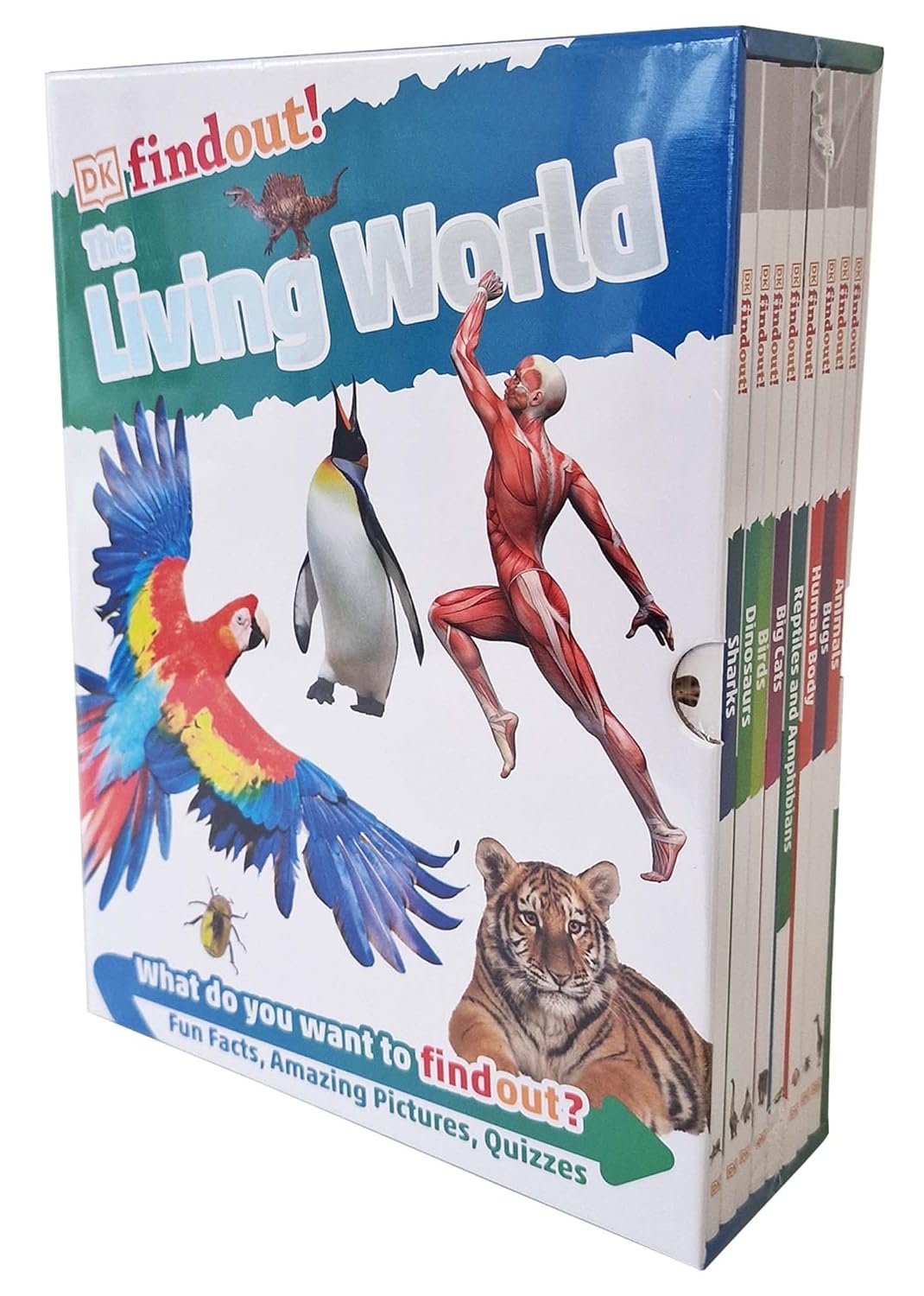 DKfindout! The Living World Collection 8 Books Box Set - Animals, Bugs, Human Body, Reptiles and Amphibians, Big Cats, Birds, Dinosaurs and Sharks - Paperback Ages 6-9