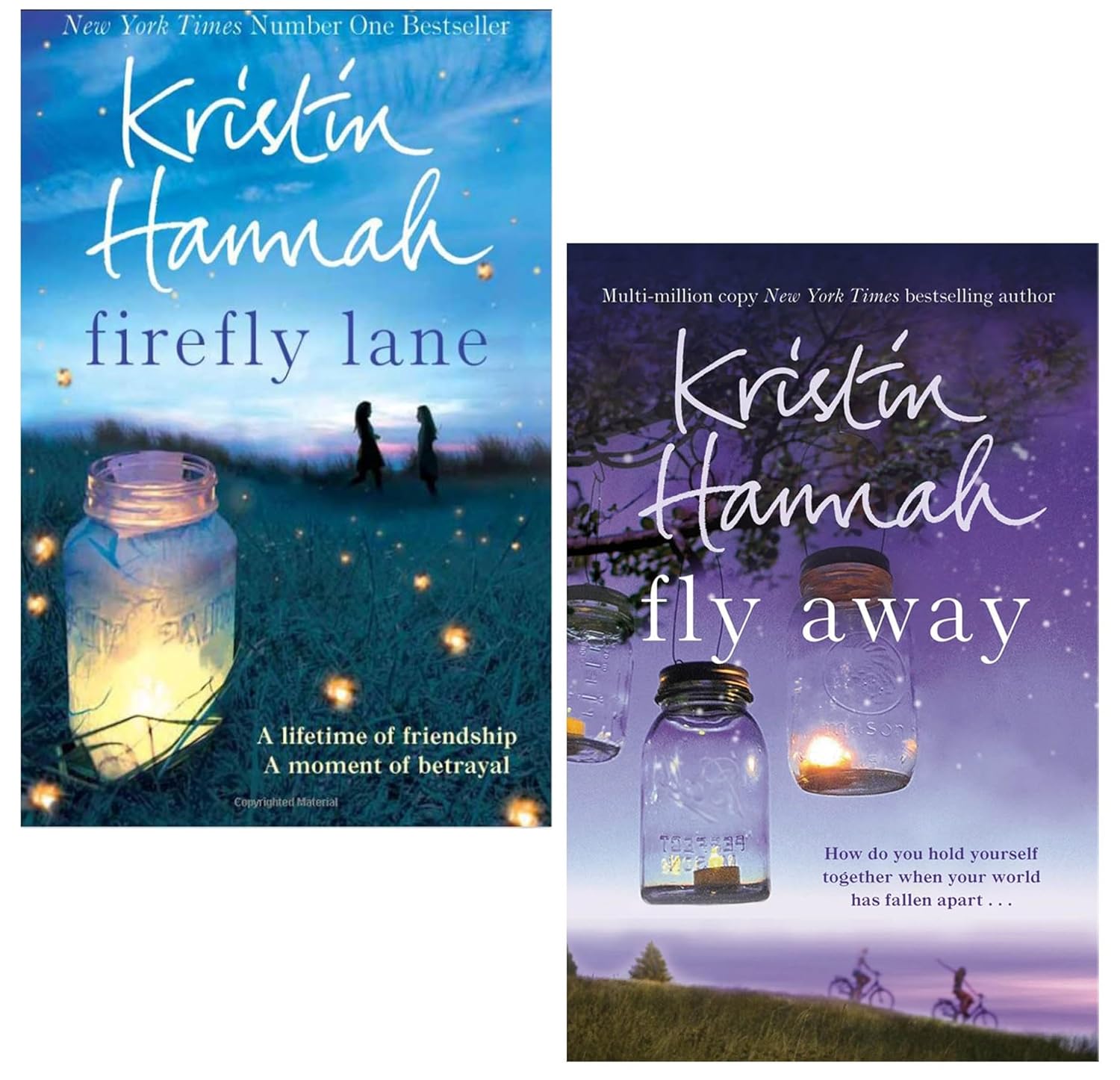 Firefly Lane Series 2 Books Collection Set by Kristin Hannah - Firefly Lane and Fly Away paperback fiction set