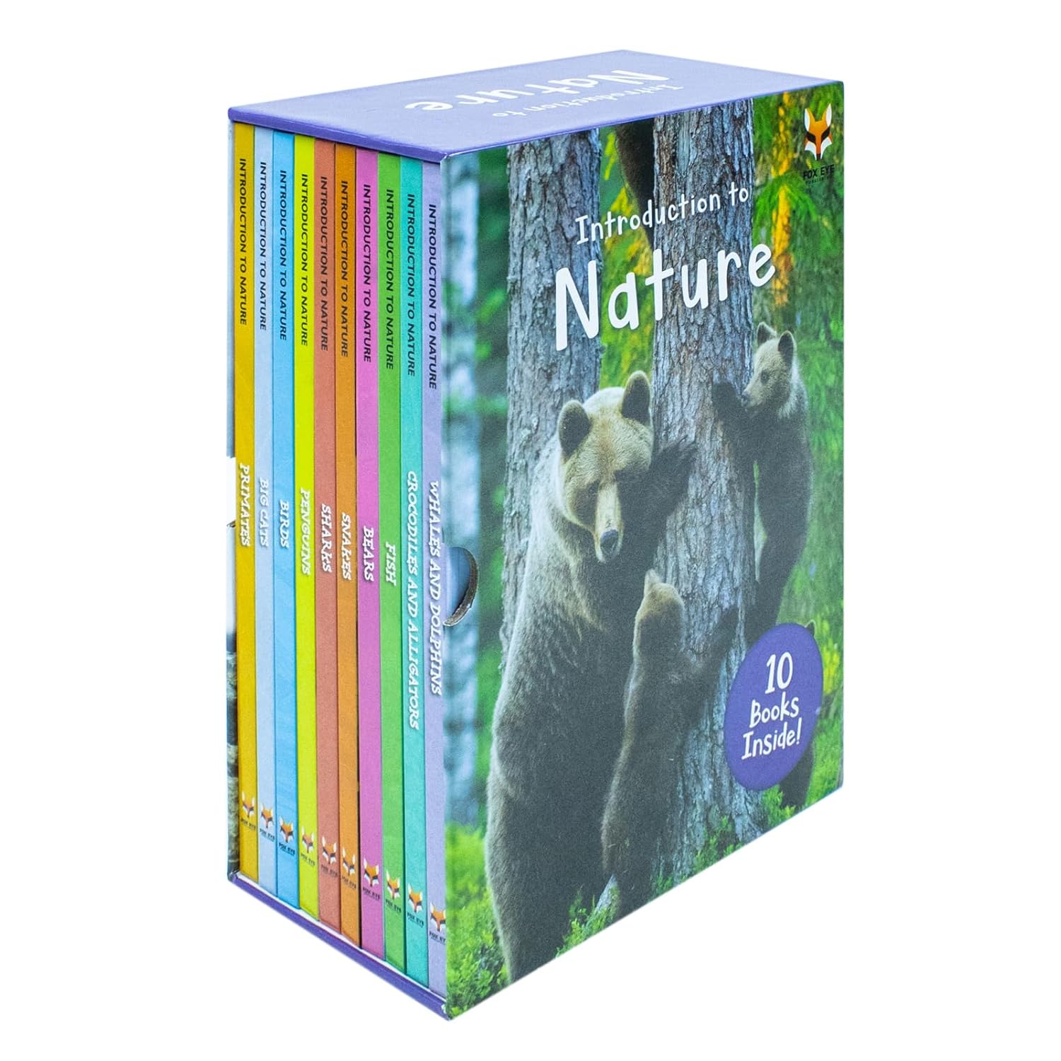 Introduction to Nature for Beginners by Jasmine Brooke 10 Books Collection Set - Ages 0-5 Hardback front cover