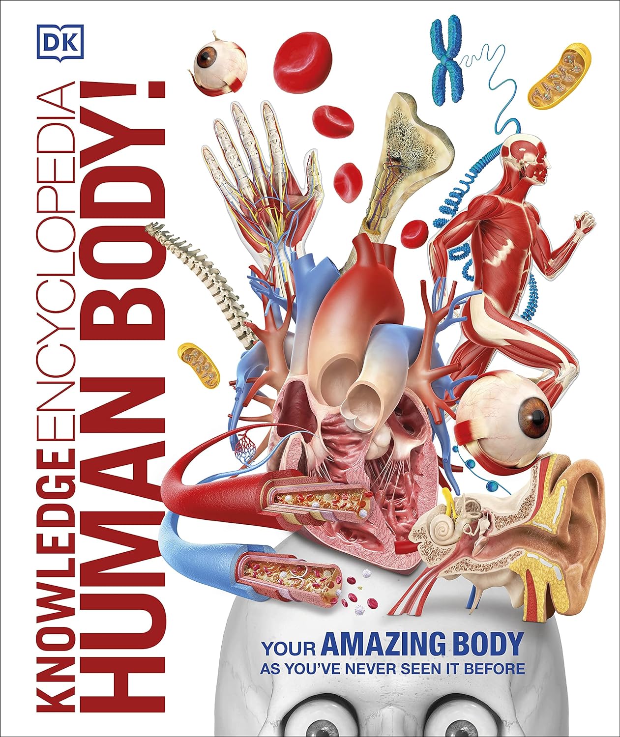 Knowledge Encyclopedia Human Body! by DK - Hardback cover, DK Knowledge Encyclopedias, ages 9-12