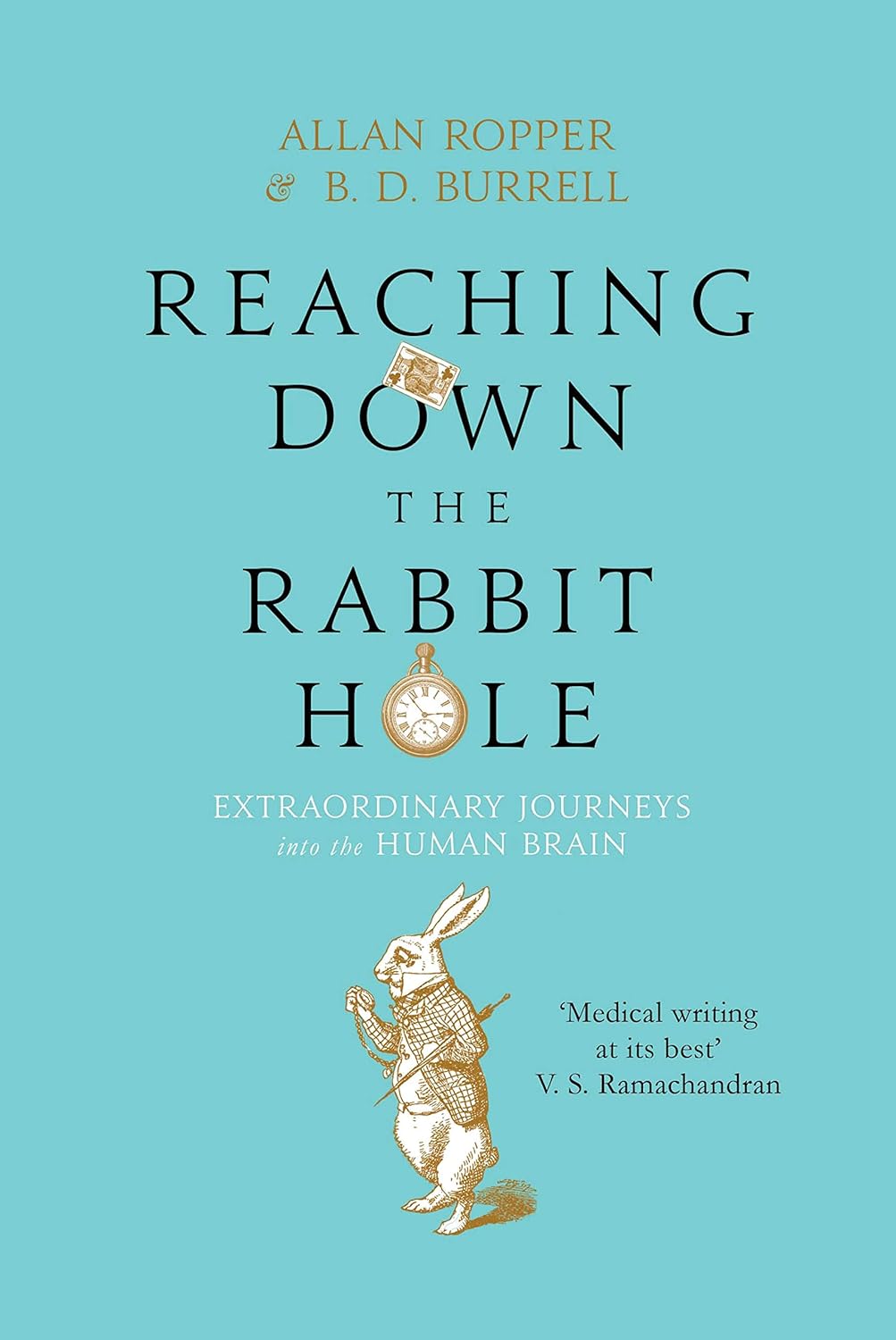 Reaching Down the Rabbit Hole by Allan Ropper - brand new paperback medical memoir cover, true neurology case studies from Harvard's Brigham and Women's Hospital