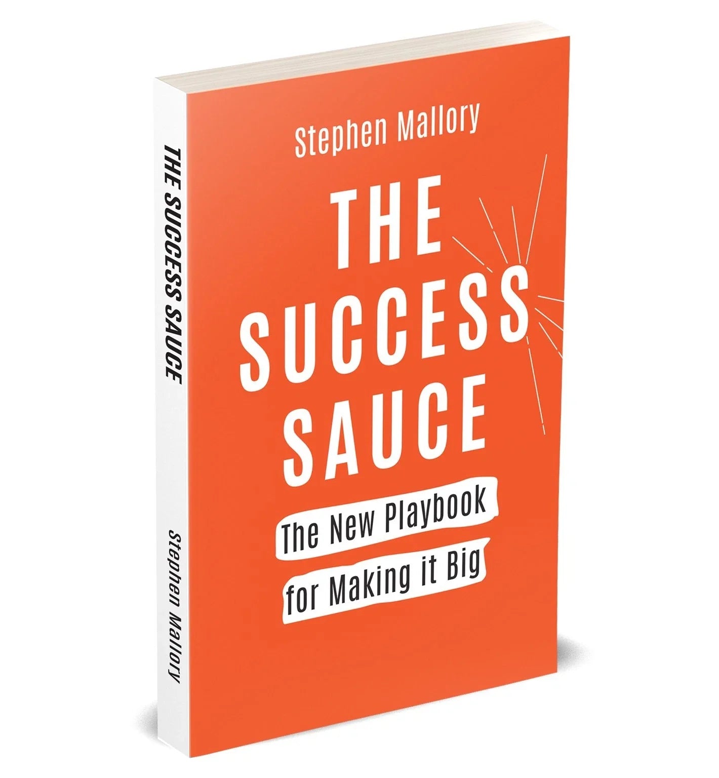 The Success Sauce: The New Playbook For Making It Big by Stephen Mallory - brand new paperback front cover