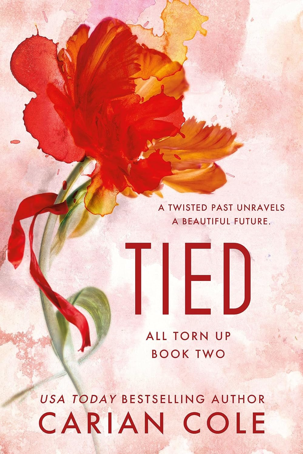Tied (All Torn Up Book 2) by Carian Cole - New Adult Romance Paperback cover