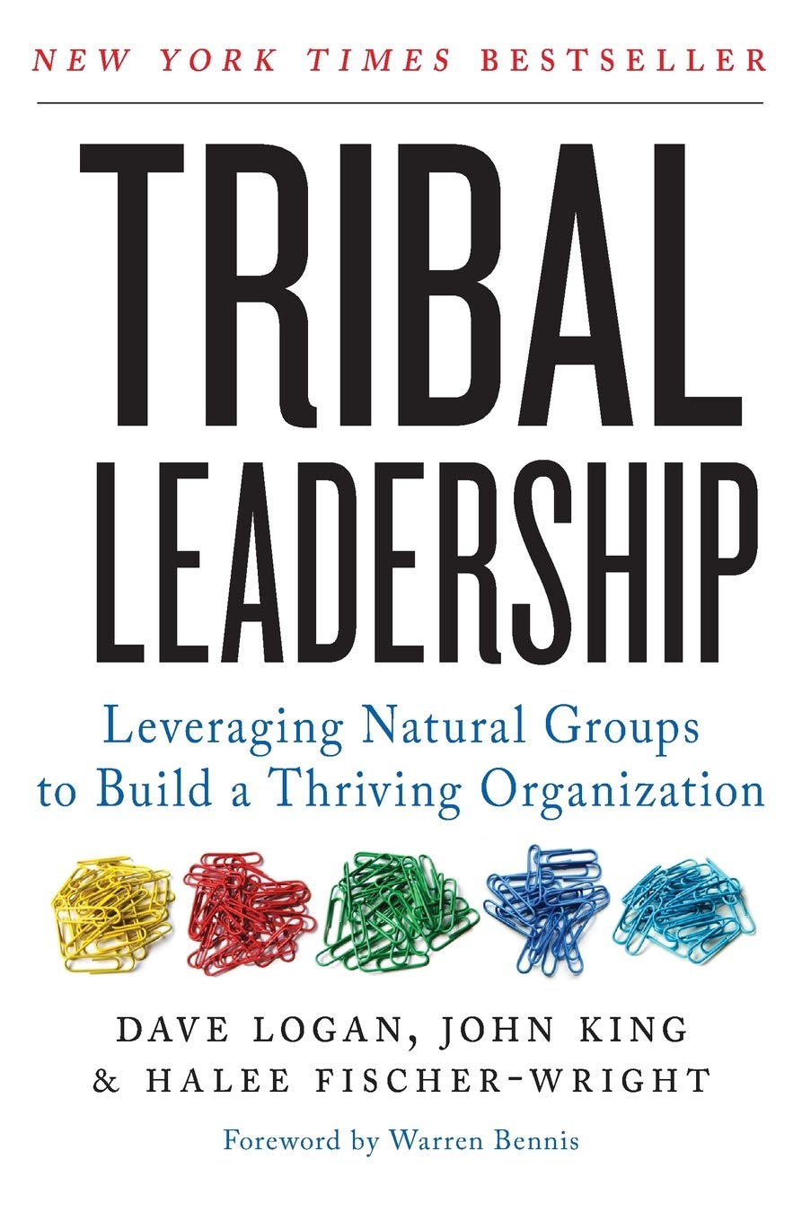 Tribal Leadership: Leveraging Natural Groups to Build a Thriving Organization by Dave Logan, John King & Halee Fischer-Wright - Paperback business leadership book cover
