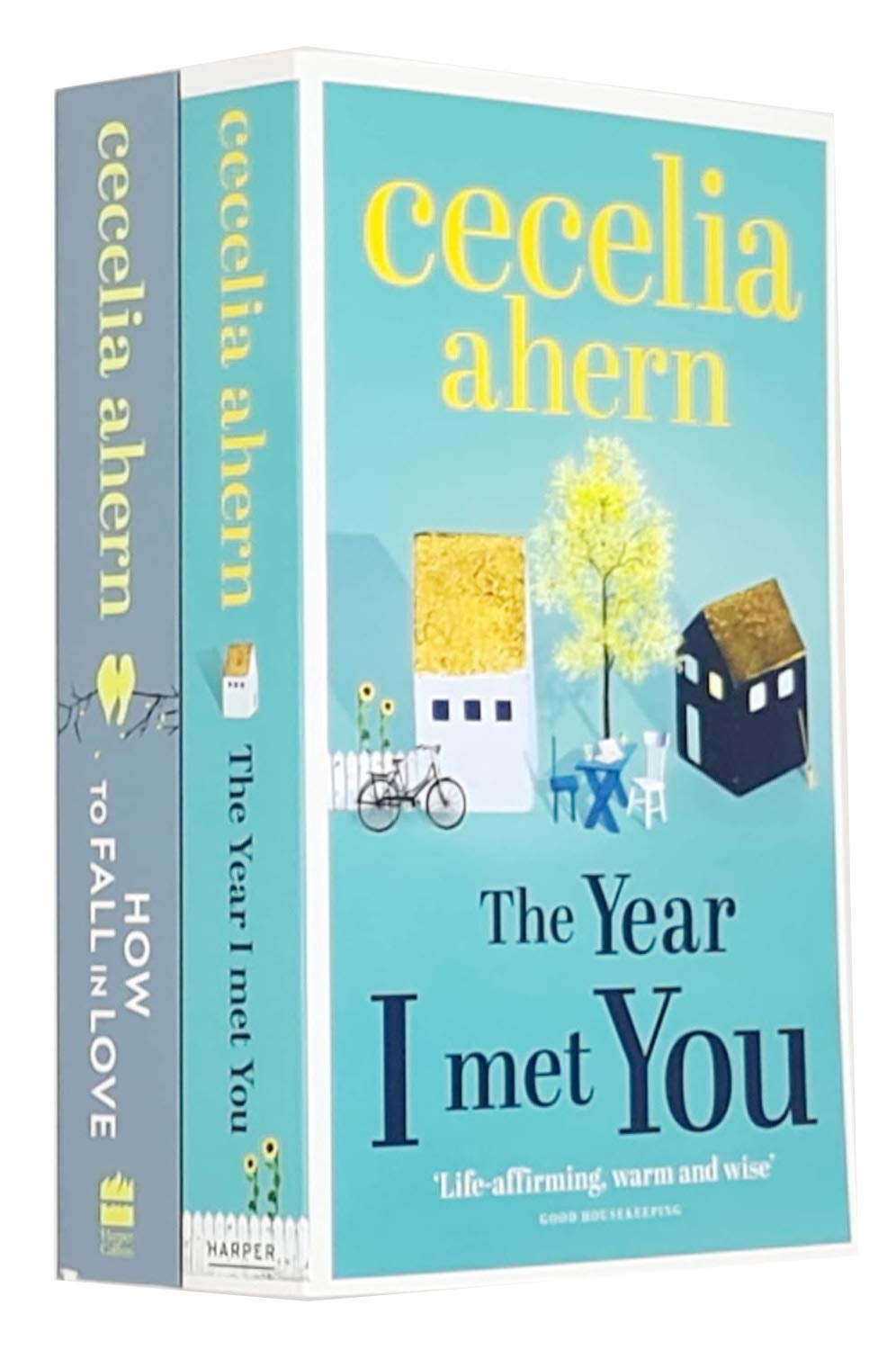 The Year I Met You & How to Fall in Love By Cecelia Ahern 2 Books Collection Set - Lets Buy Books