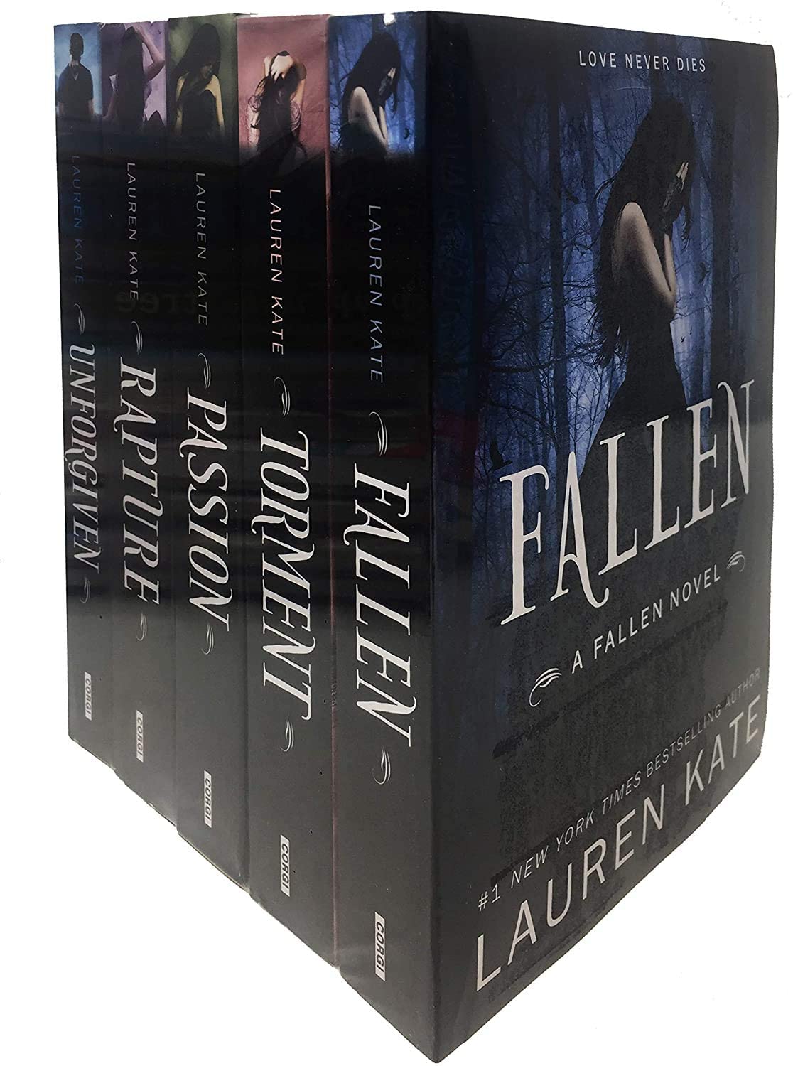 Lauren Kate Fallen Series 5 Book Collection Set (Field Guide, Torment, Passion, Rapture) - Lets Buy Books