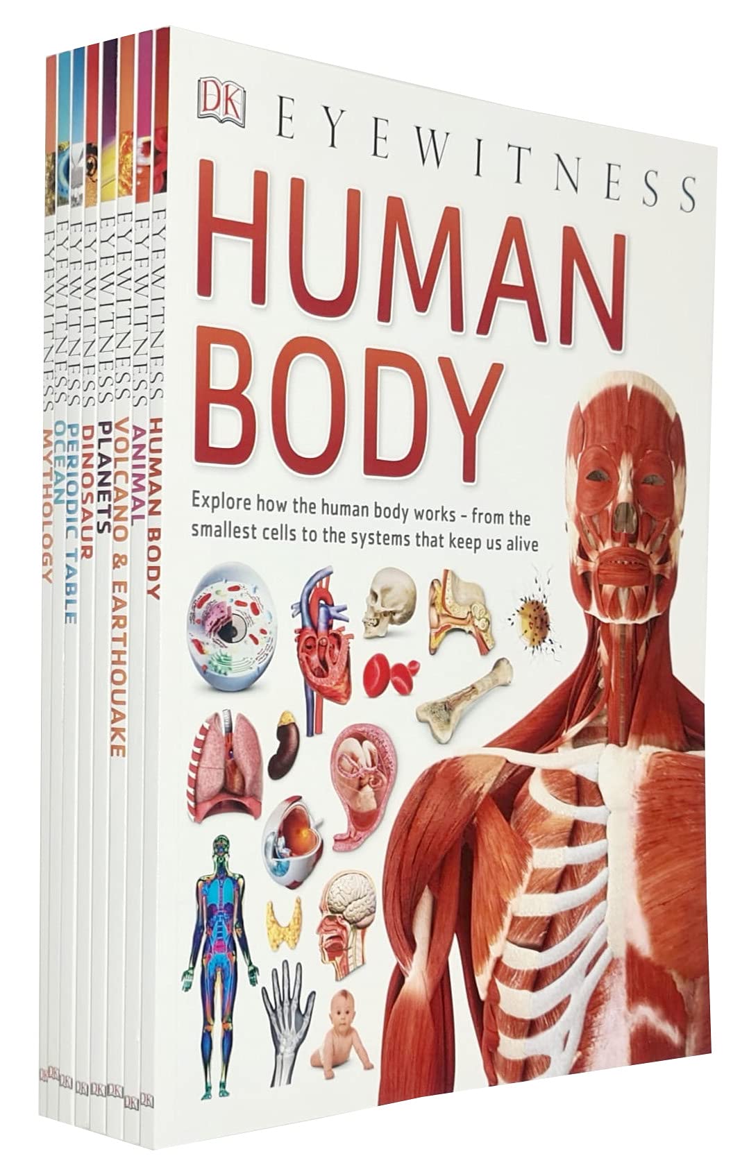 DK Eyewitness Collection 8 Books Set (Human Body, Ocean, Volcano & Earthquake) - Lets Buy Books