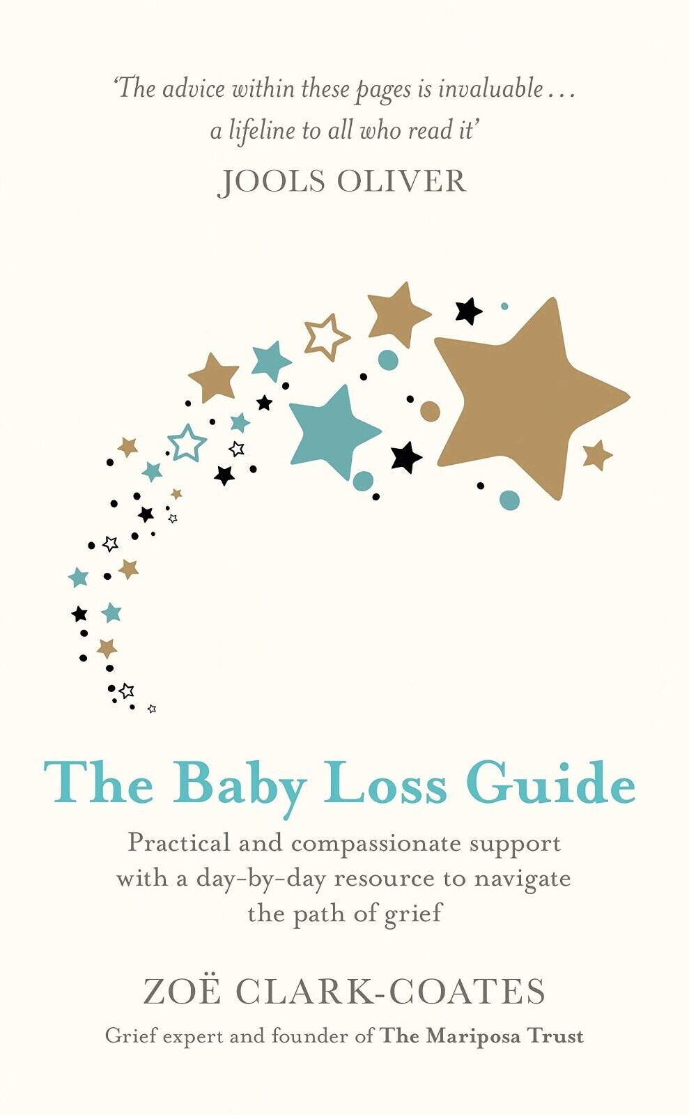 The Baby Loss Guide: Practical and compassionate support with a day-by-day - Lets Buy Books