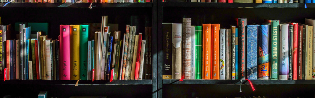 💡 Blog 3: How to Build a Home Library on a Budget