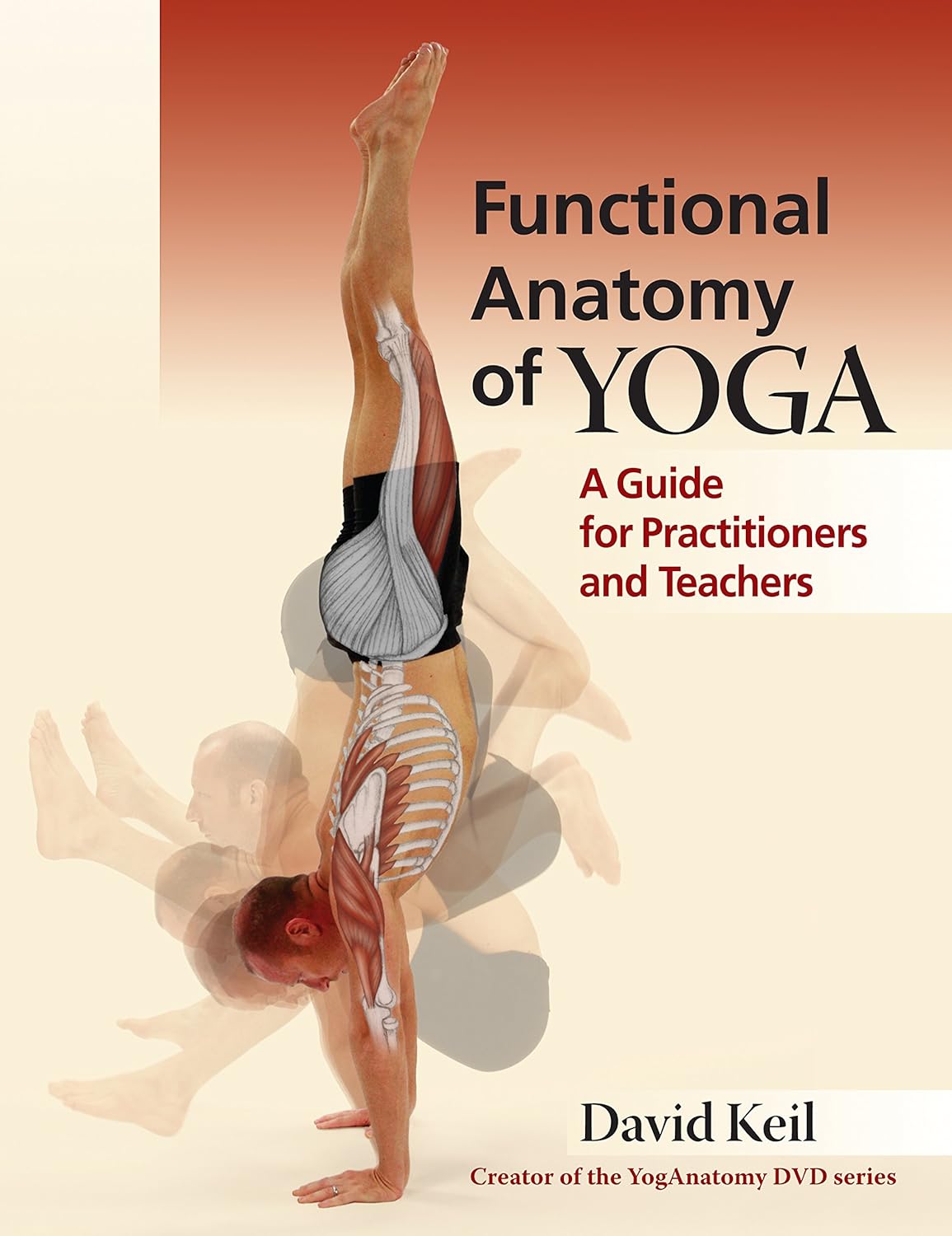 Functional Anatomy of Yoga: A Guide for Practitioners and Teachers by David Keil - Lets Buy Books