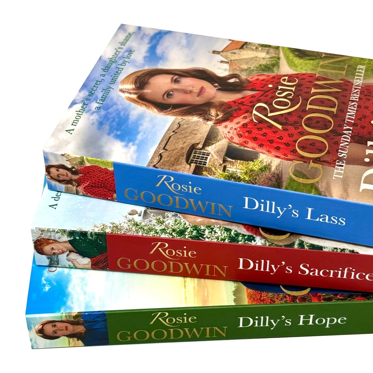 Dilly's Story Series by Rosie Goodwin 3 Books Collection Set-Fiction-Paperback - Lets Buy Books