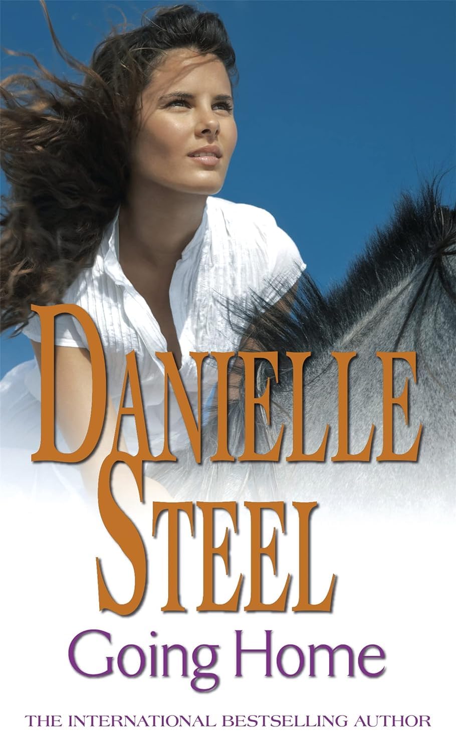 Danielle Steel Collection 10 Book Set Including Going Home To Love Again Crossings Now And Forever Remembrance - Lets Buy Books