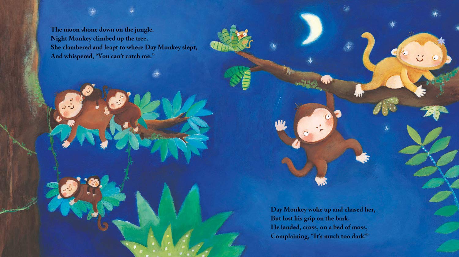Night Monkey, Day Monkey: 1 By Lucy Richards & Julia Donaldson Paperback - Lets Buy Books