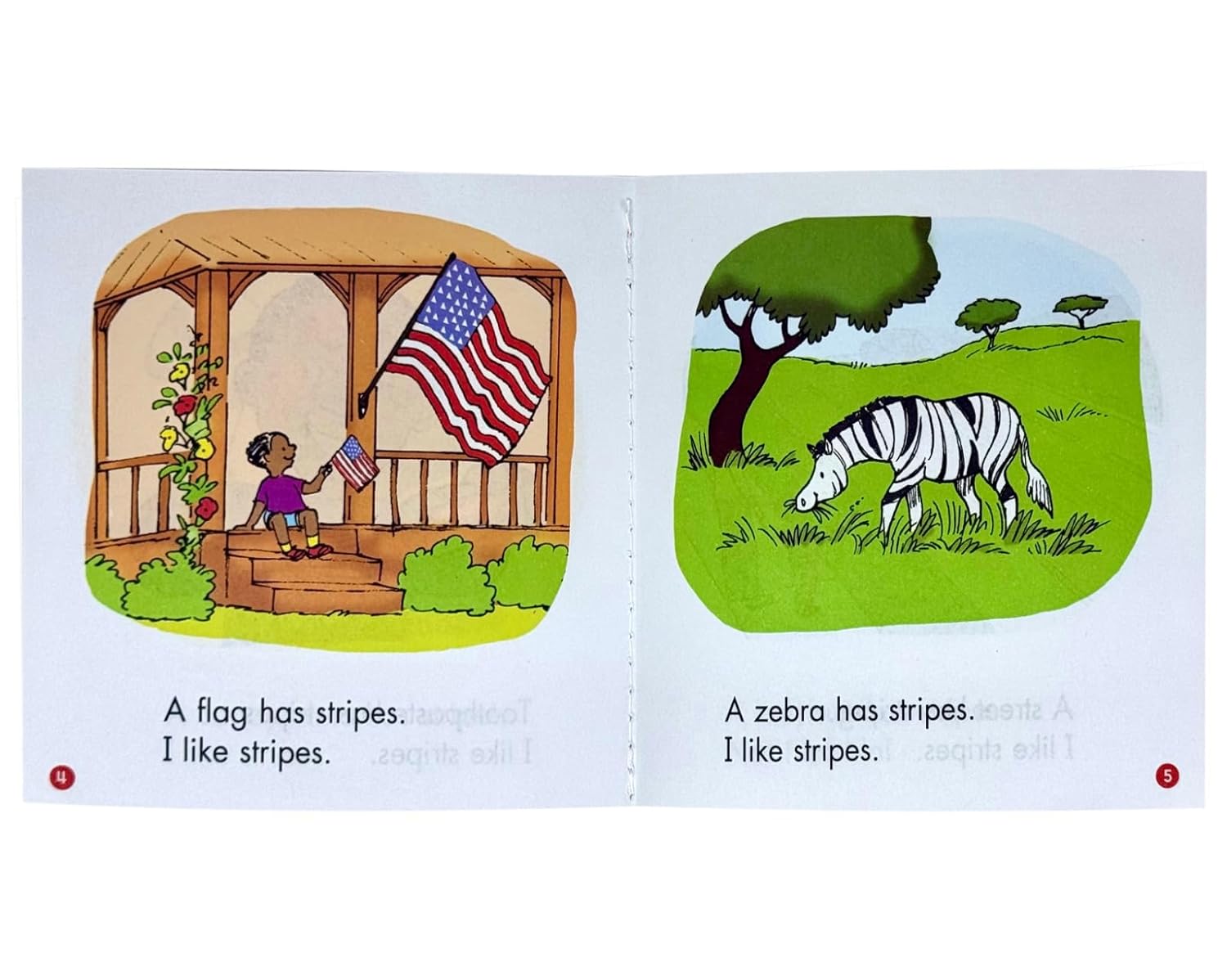Pre-K Readers 32 Books Collection Box Set - Ages 4–5 - Paperback - Lets Buy Books