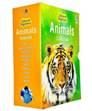 Usborne Beginners Animals Series 10 Books Collection Box Set (Wolves, Tigers, Sharks) - Lets Buy Books