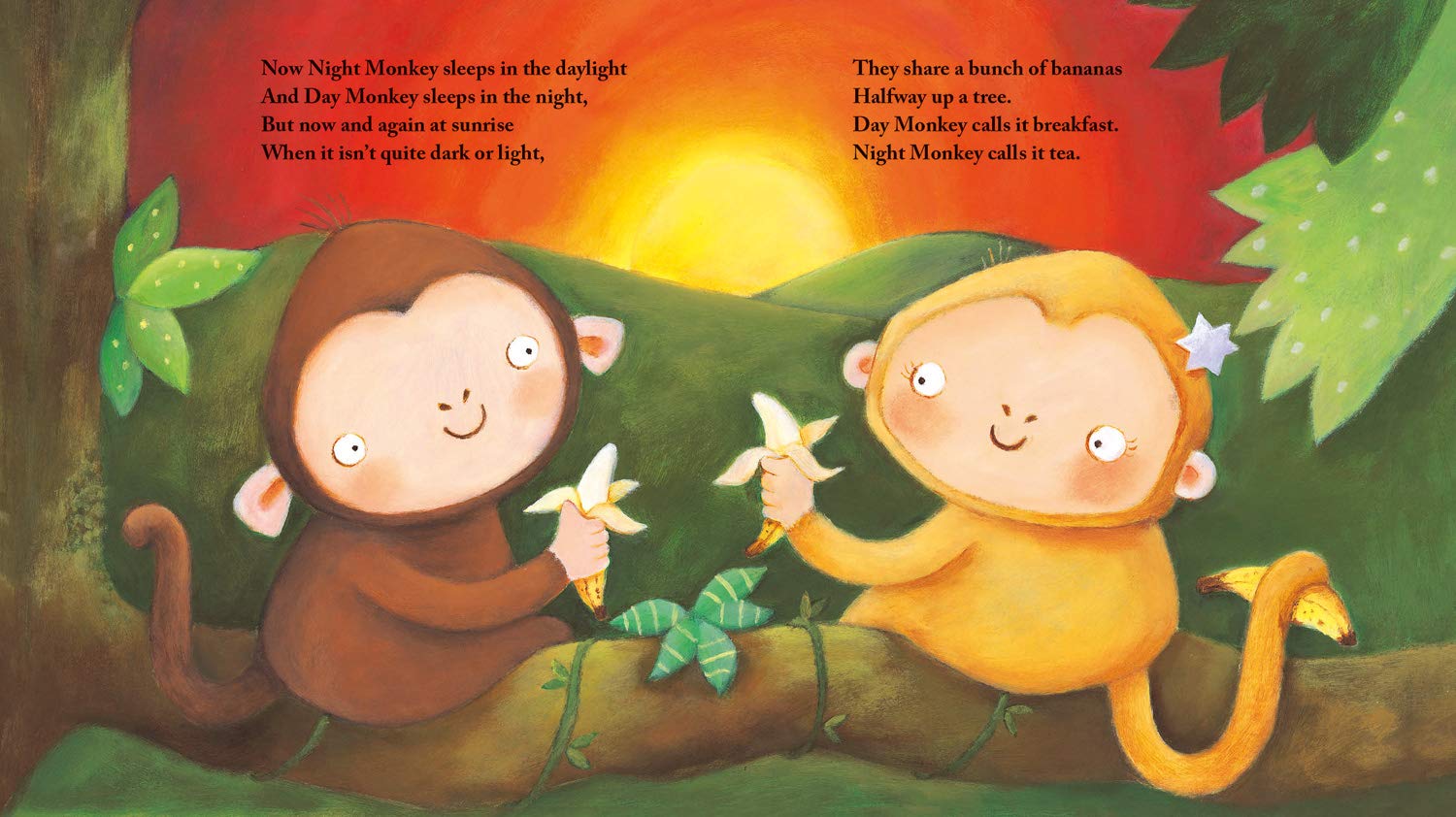 Night Monkey, Day Monkey: 1 By Lucy Richards & Julia Donaldson Paperback - Lets Buy Books
