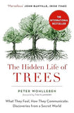 The Hidden Life of Trees: The International Bestseller What They Feel by Peter Wohlleben - Lets Buy Books