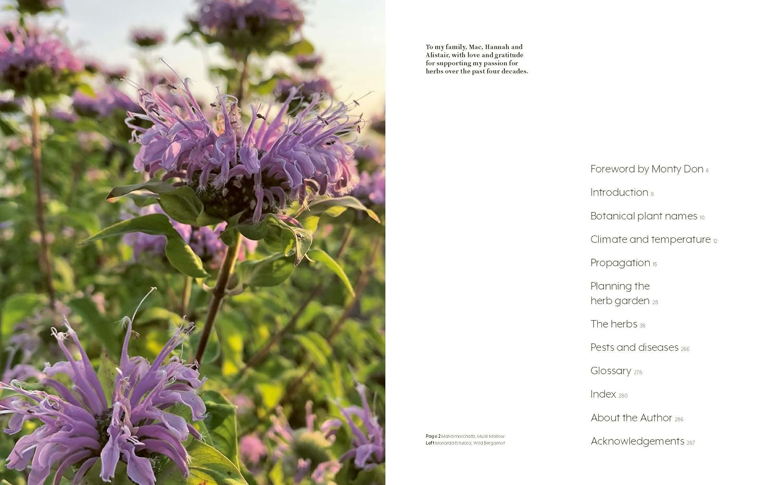 100 Herbs To Grow by Jekka McVicar - Non Fiction - Hardback - Lets Buy Books