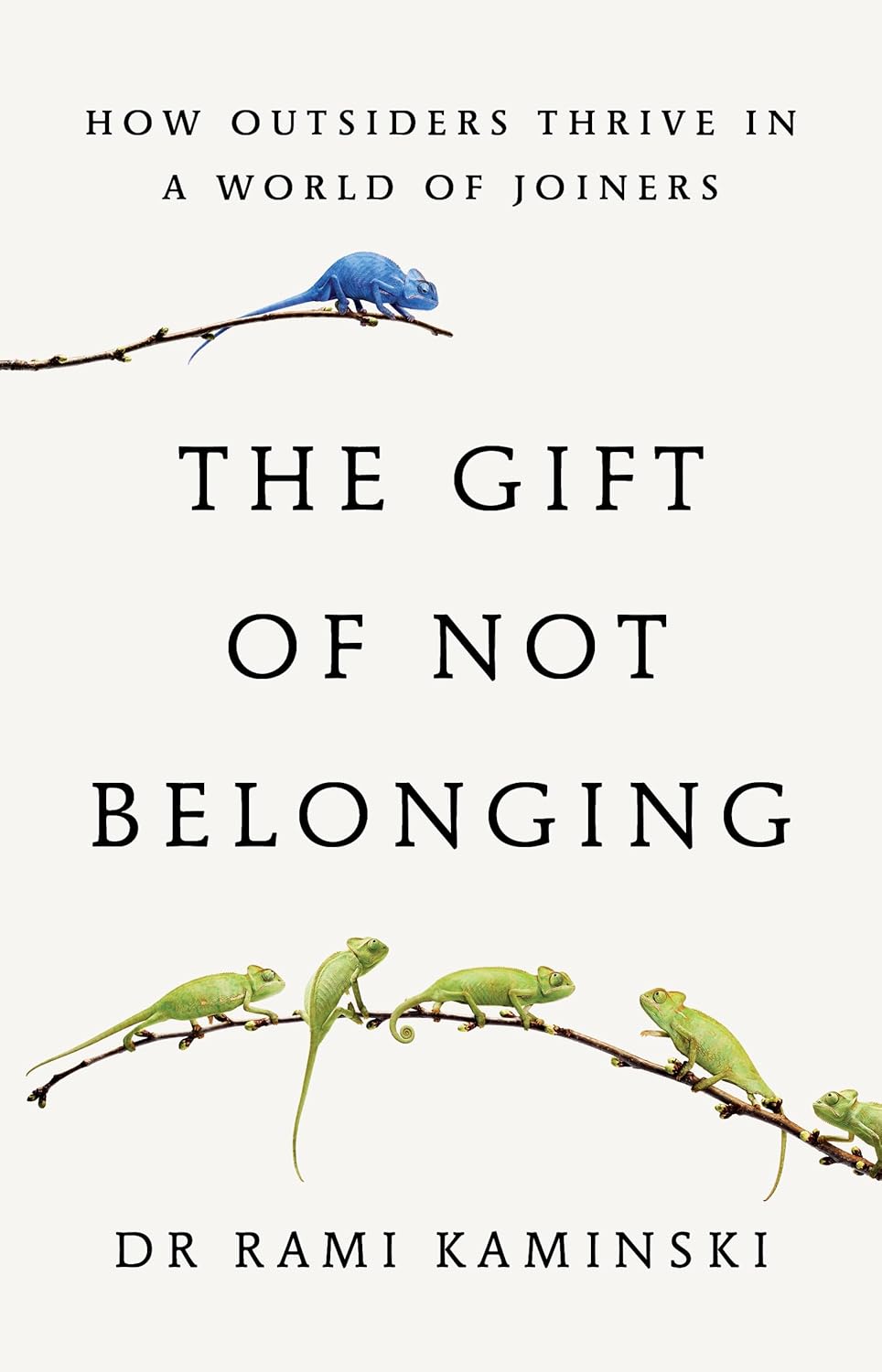 The Gift of Not Belonging by Rami Kaminski - Non Fiction - Hardback - Lets Buy Books