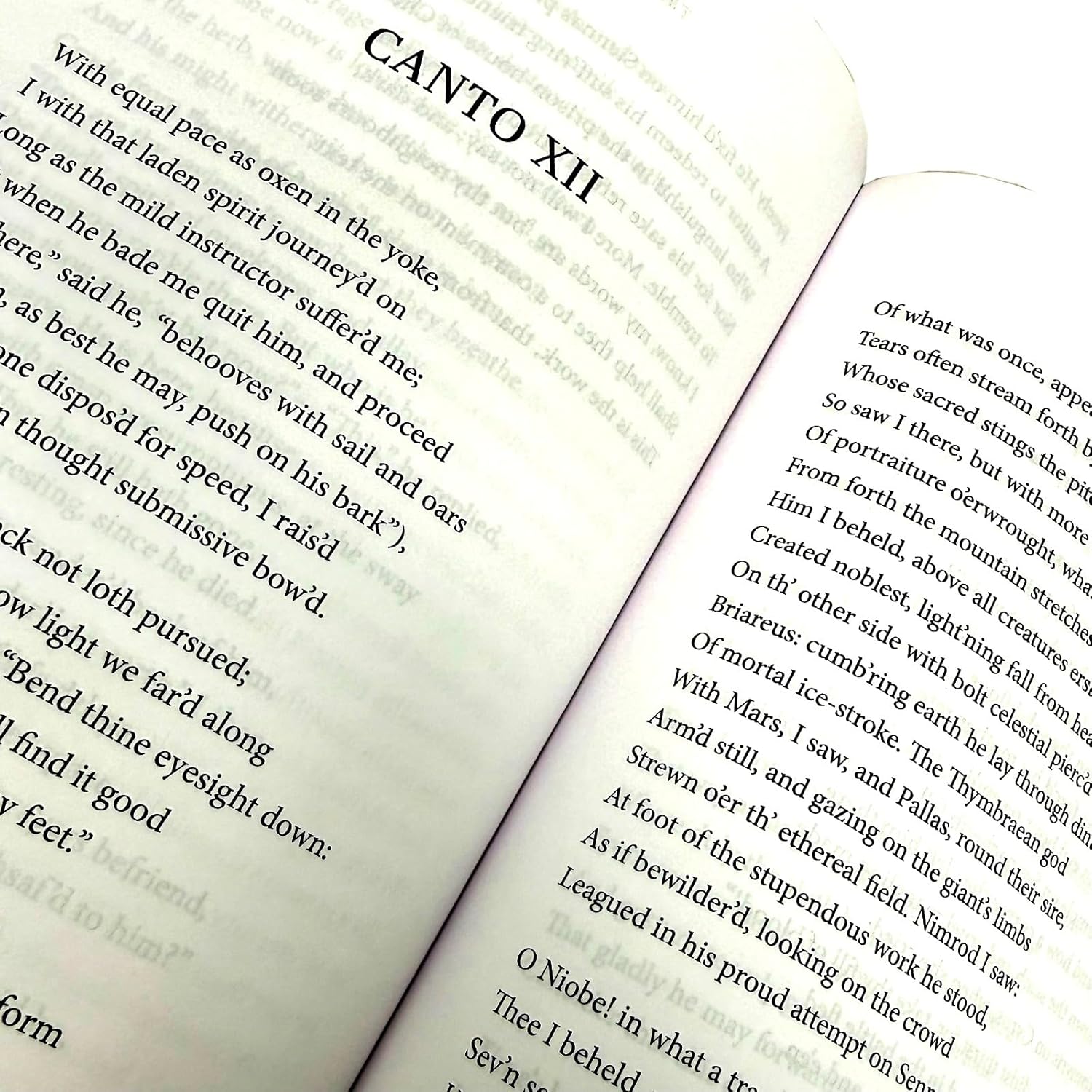 The Divine Comedy by Dante Alighieri - Fiction - Hardback - Lets Buy Books