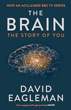 The Brain: The Story of You by David Eagleman - Lets Buy Books
