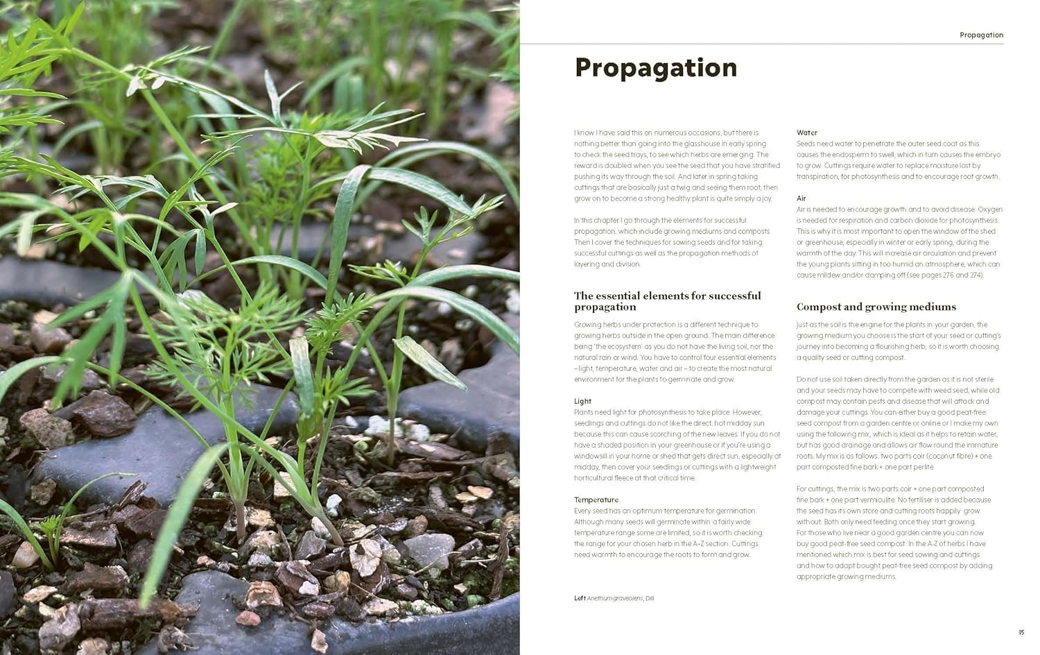 100 Herbs To Grow by Jekka McVicar - Non Fiction - Hardback - Lets Buy Books