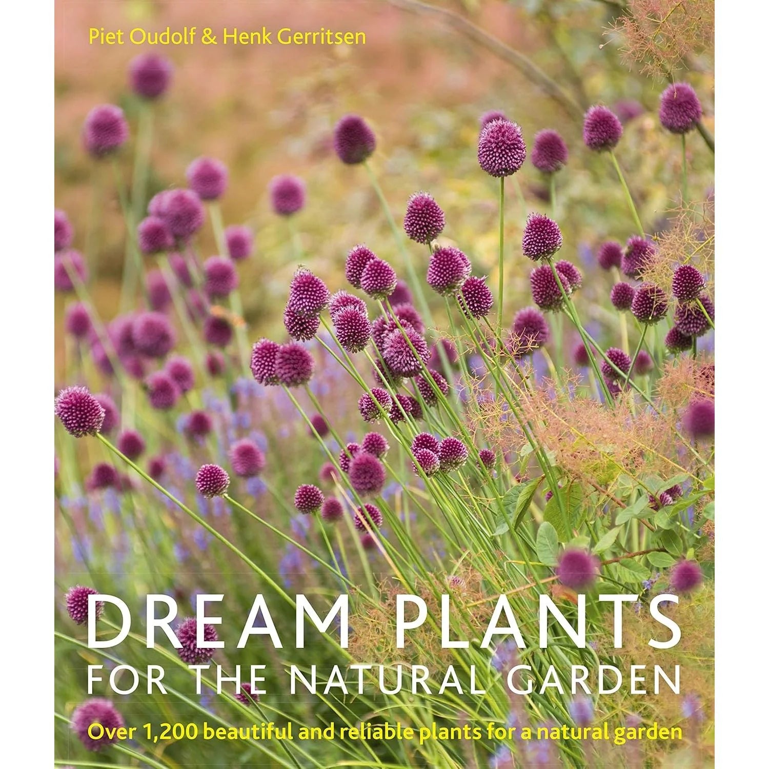 Dream Plants for the Natural Garden: Over 1,200 Beautiful and Reliable Plants for a Natural Garden By Piet Oudolf & Henk Gerritsen - Lets Buy Books