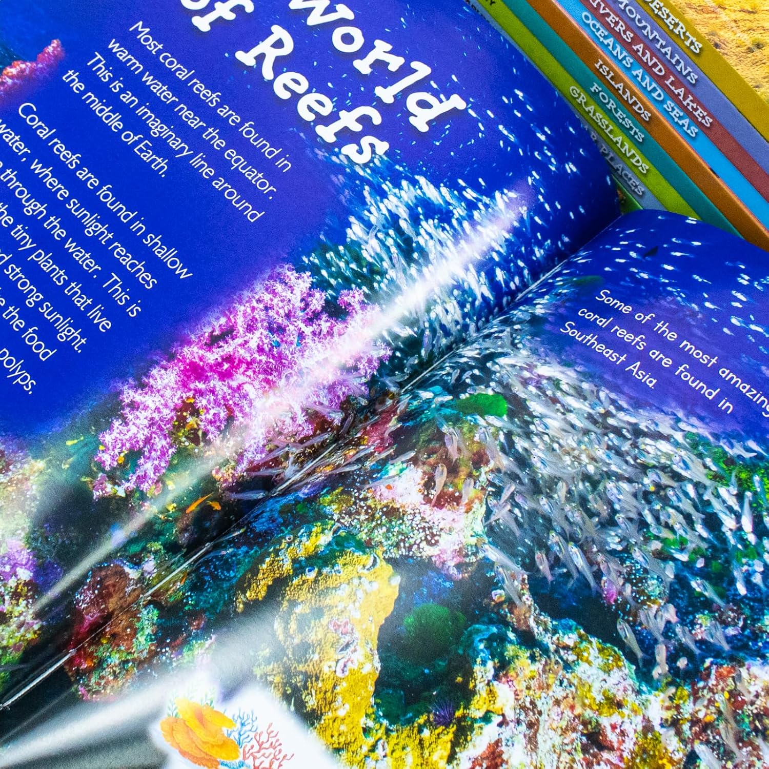 Introduction to Geography by Various Authors 10 Books Collection Set - Ages 5+ - Hardback - Lets Buy Books