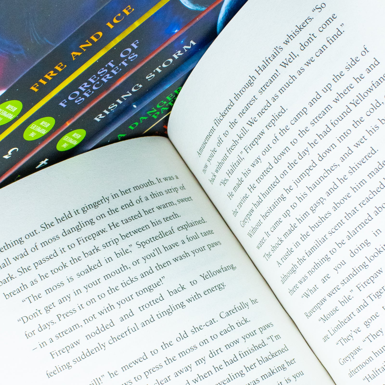 Warrior Cats Series 1: The Prophecies Begin 6 Books Collection Set By Erin Hunter - Lets Buy Books