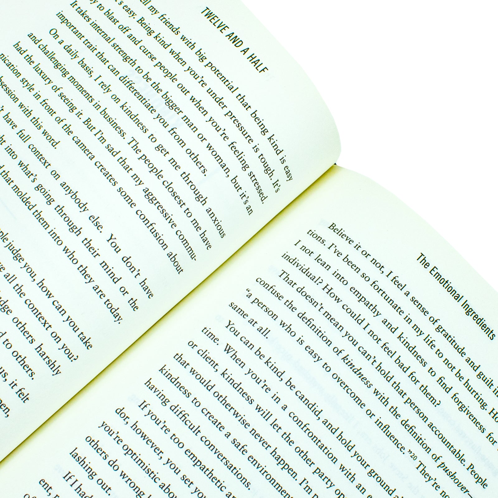 Twelve and a Half: Leveraging the Emotional Ingredients Necessary for Business Success - Lets Buy Books