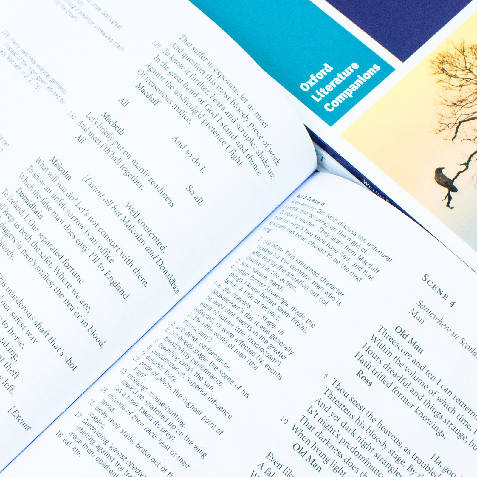 Oxford School William Shakespeare 4 Books Collection Set (Macbeth, Macbeth Oxford Literature Companions & Romeo & Juliet and Romeo & Juliet Oxford Literature Companions) - Lets Buy Books