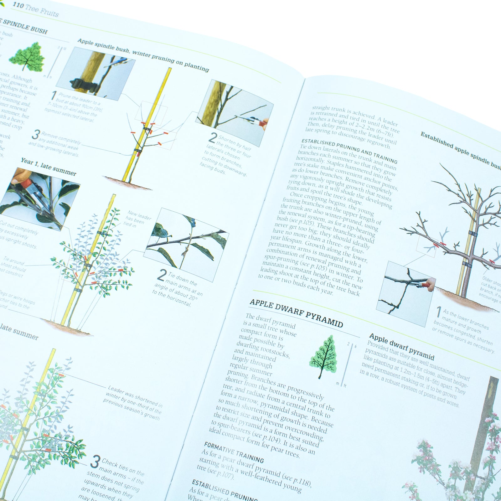 RHS Pruning and Training: Revised New Edition; Over 800 Plants; What, When, and How to Prune - Lets Buy Books