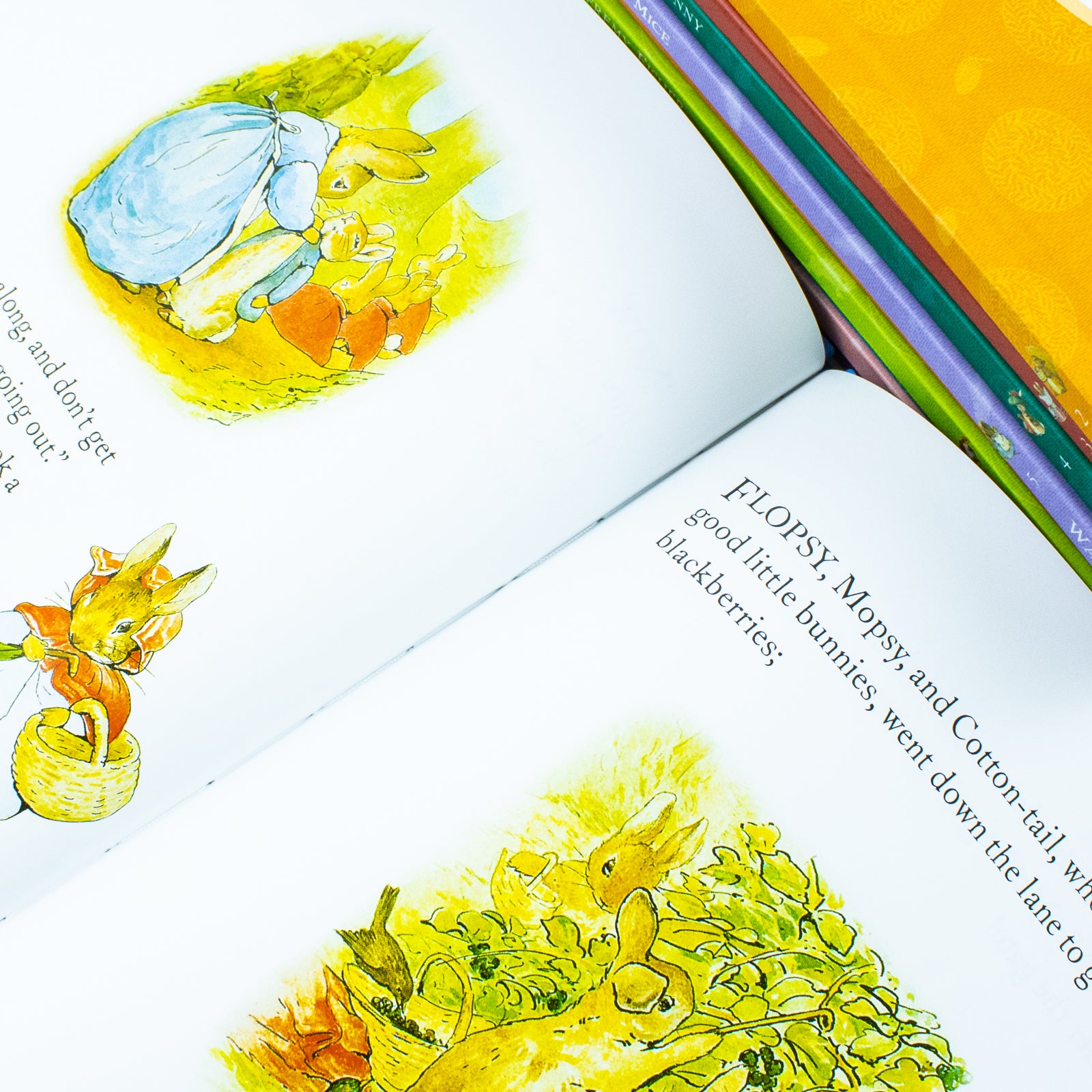 Peter Rabbit 10-book Library Coloured Jackets (Flopsy Bunnie, Jemima Puddle-Duck) by Potter, Beatrix