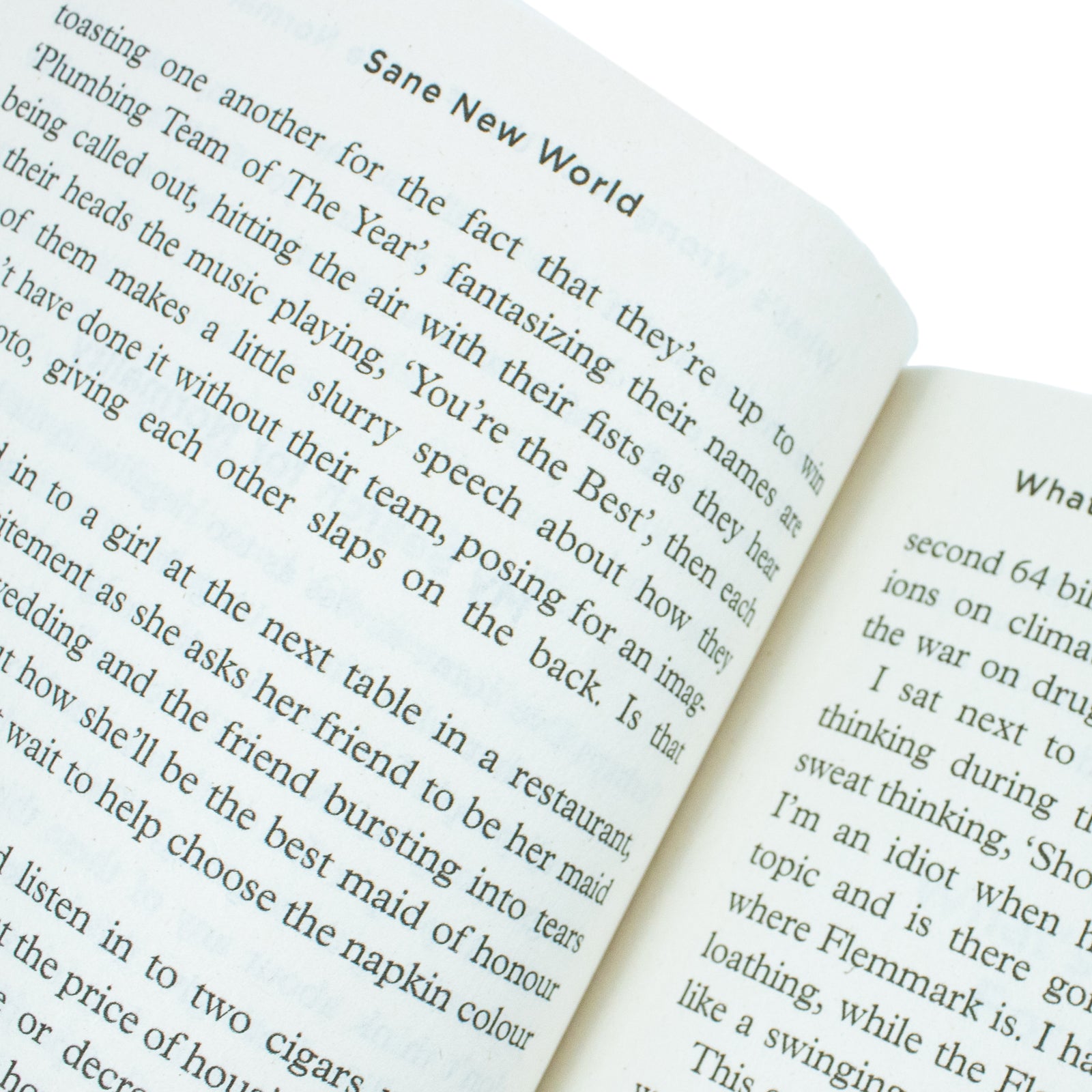 Sane New World: Taming the Mind Health, Family & Lifestyle by Ruby Wax Paperback - Lets Buy Books