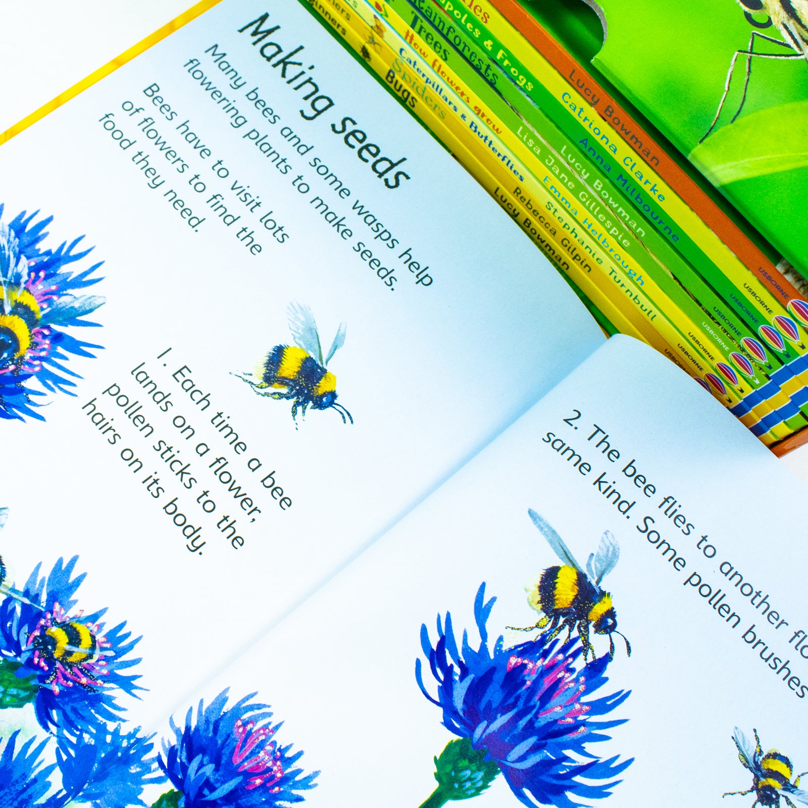 Usborne Beginners Nature 10 Books Box Set Collection Reptiles, Rainforest Hardcover - Lets Buy Books