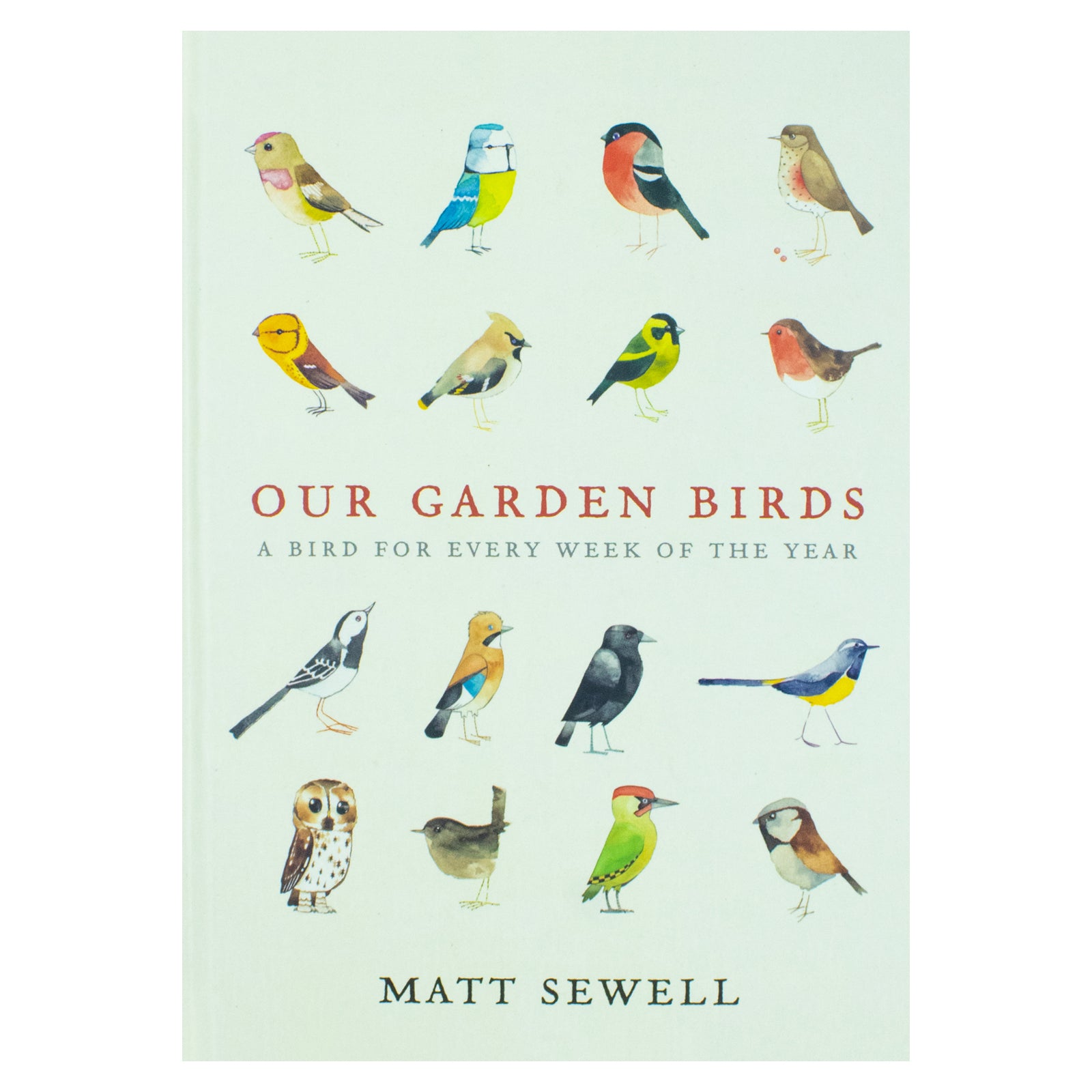 Our Garden Birds: a stunning illustrated guide to the birdlife by Matt Sewell [Hardcover] - Lets Buy Books