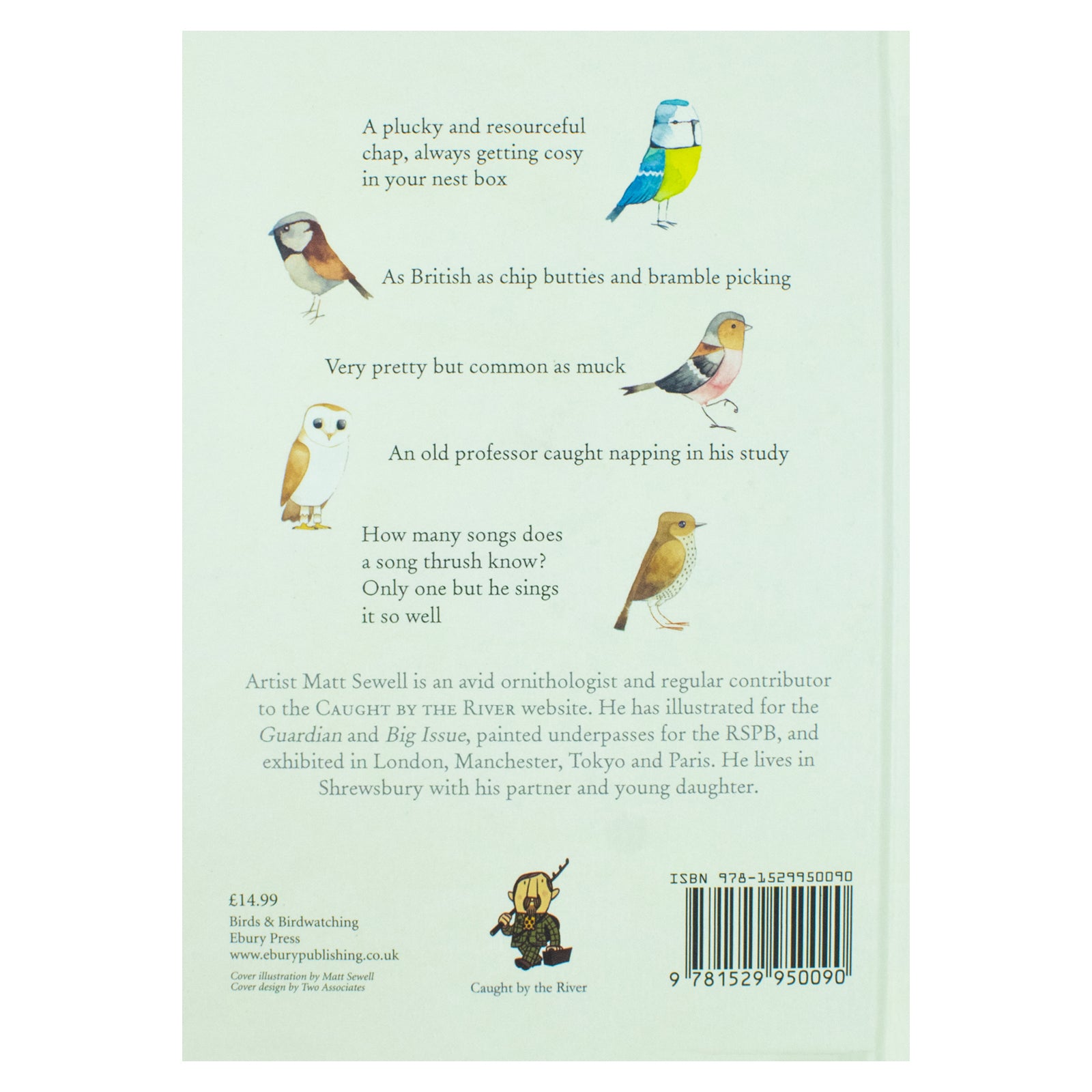Our Garden Birds: a stunning illustrated guide to the birdlife by Matt Sewell [Hardcover] - Lets Buy Books