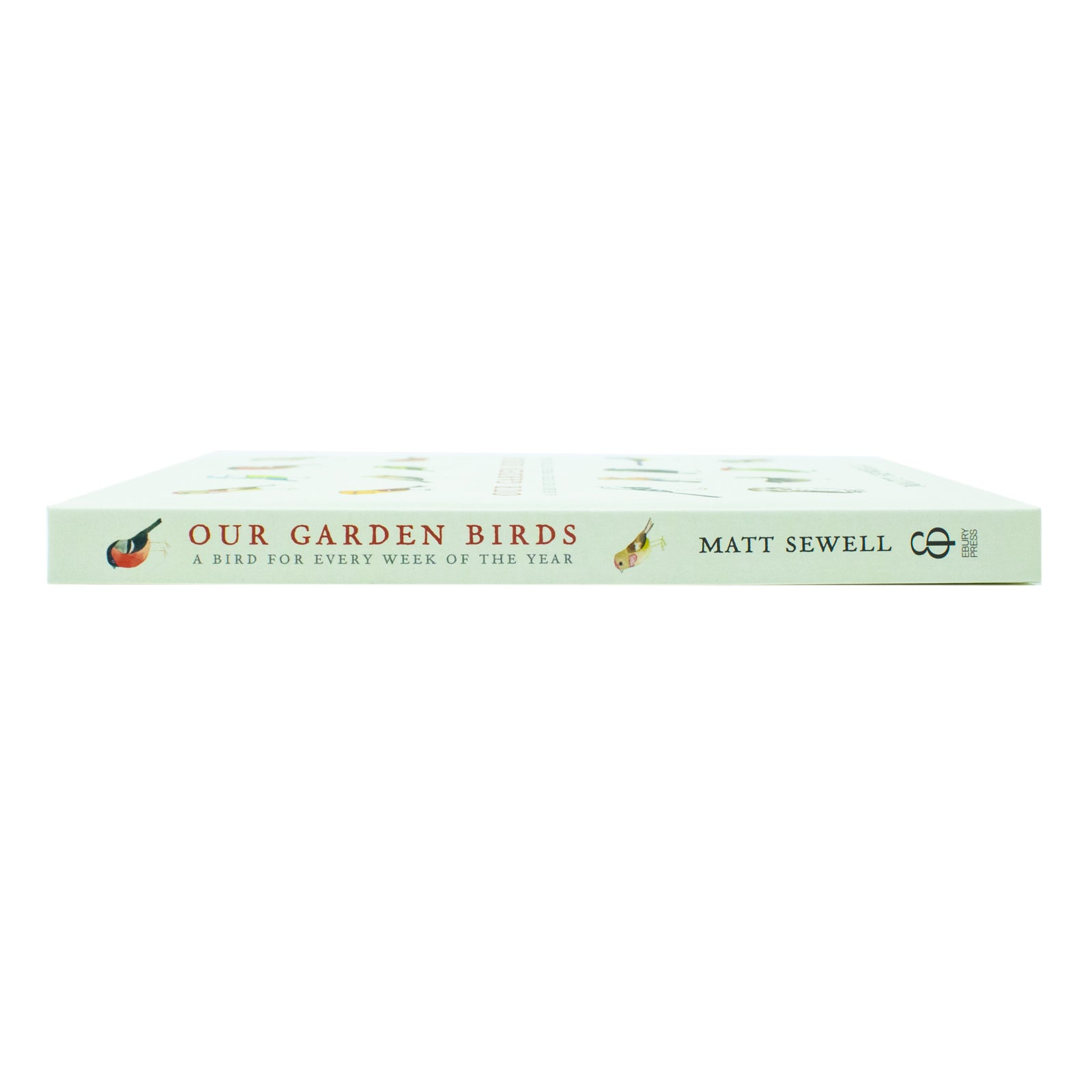 Our Garden Birds: a stunning illustrated guide to the birdlife by Matt Sewell [Hardcover] - Lets Buy Books