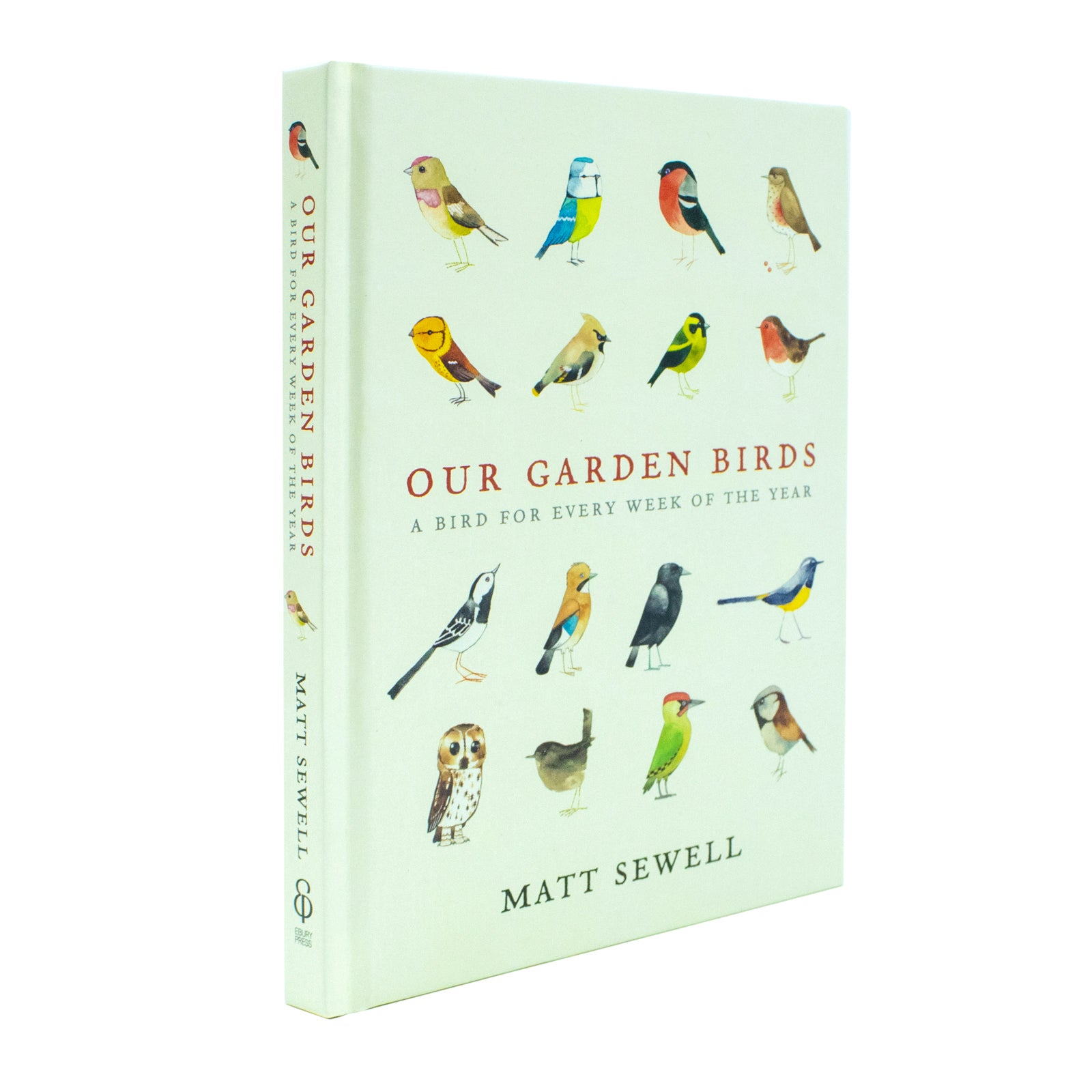 Our Garden Birds: a stunning illustrated guide to the birdlife by Matt Sewell [Hardcover] - Lets Buy Books