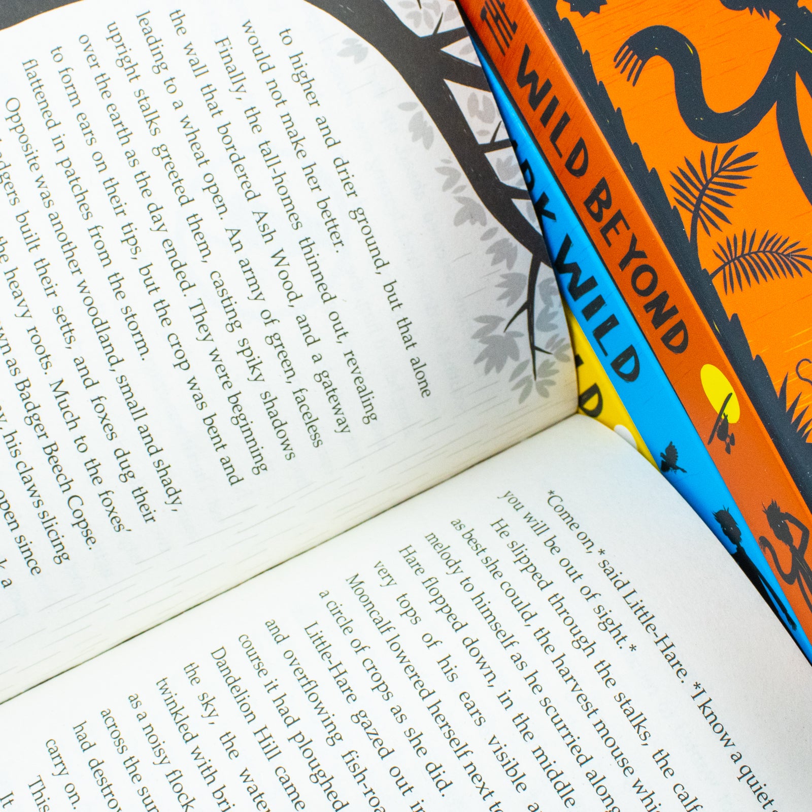 The Last Wild Complete 4 Book Collection Box Set By Piers Torday(The Last Wild, The Wild Beyond, The Dark Wild & The Wild Before) - Lets Buy Books