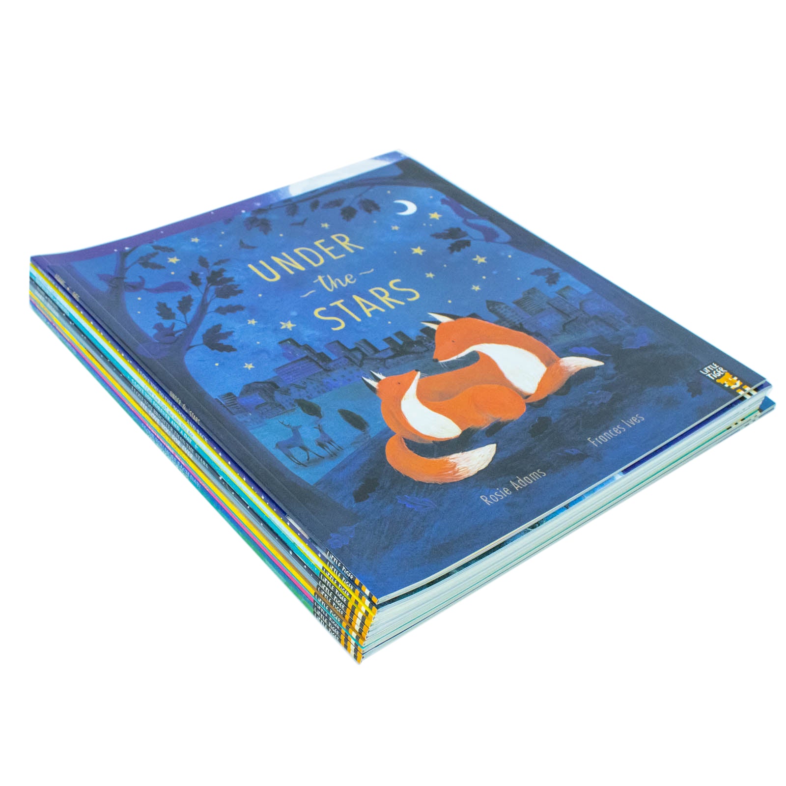 I Love You Series Children Picture 10 Books Collection Set (Moon and Black, Under the Stars) - Lets Buy Books