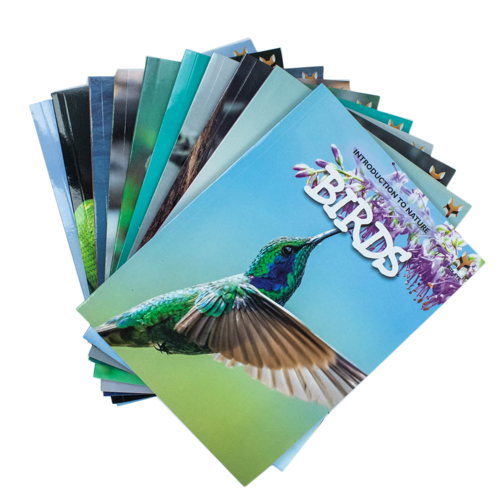 Children Introduction to Nature for Beginners 10 Books Collection Set (Bears, Big Cats, Birds) - Lets Buy Books