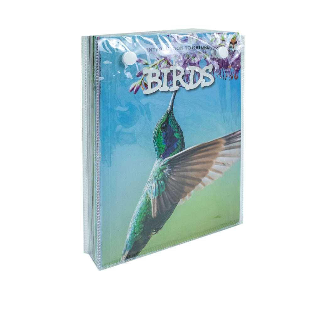 Children Introduction to Nature for Beginners 10 Books Collection Set (Bears, Big Cats, Birds) - Lets Buy Books