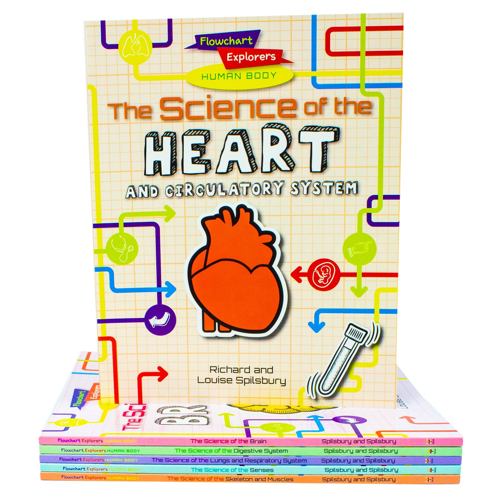 Flowchart Explorers Human Body STEM 6 Science Books Set (Brain, Digestive, Heart, Lungs) - Lets Buy Books