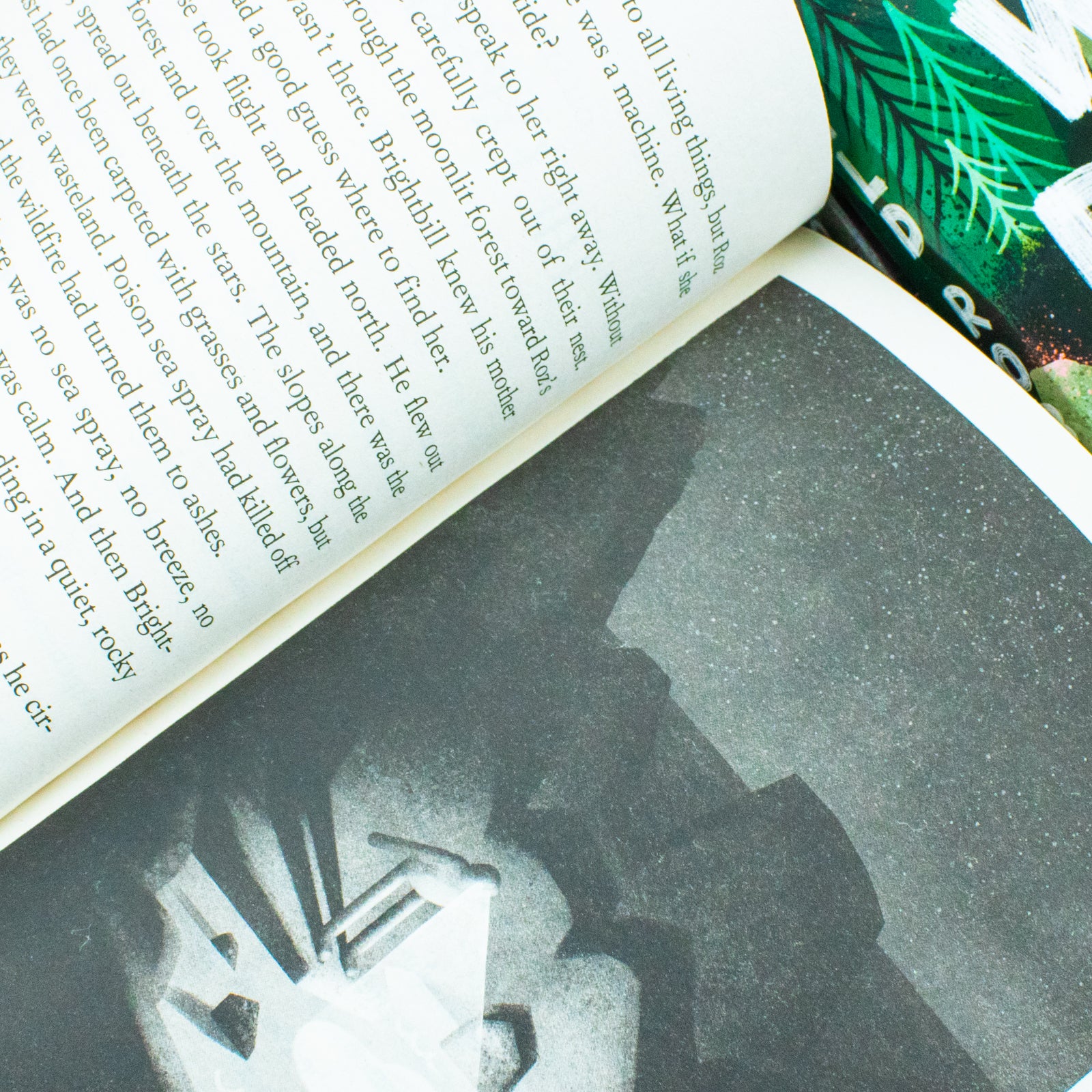 The Wild Robot Series 3 Books Collection Set Wild Robot, Wild Robot Escapes, Robot Protects - Lets Buy Books