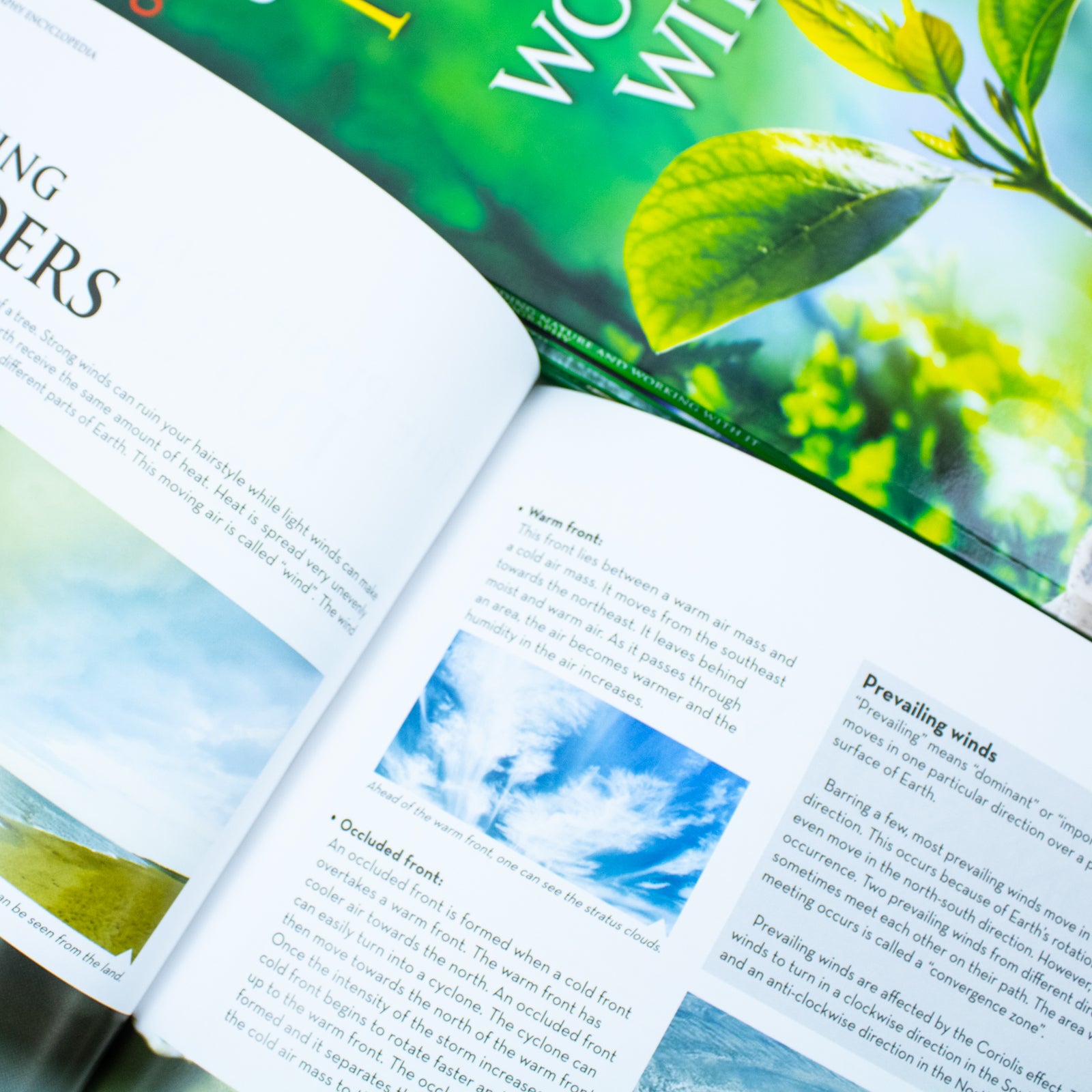 Encyclopedia of Geography Collection 8 Books Set Exploring Life, Universe and Earth - Lets Buy Books