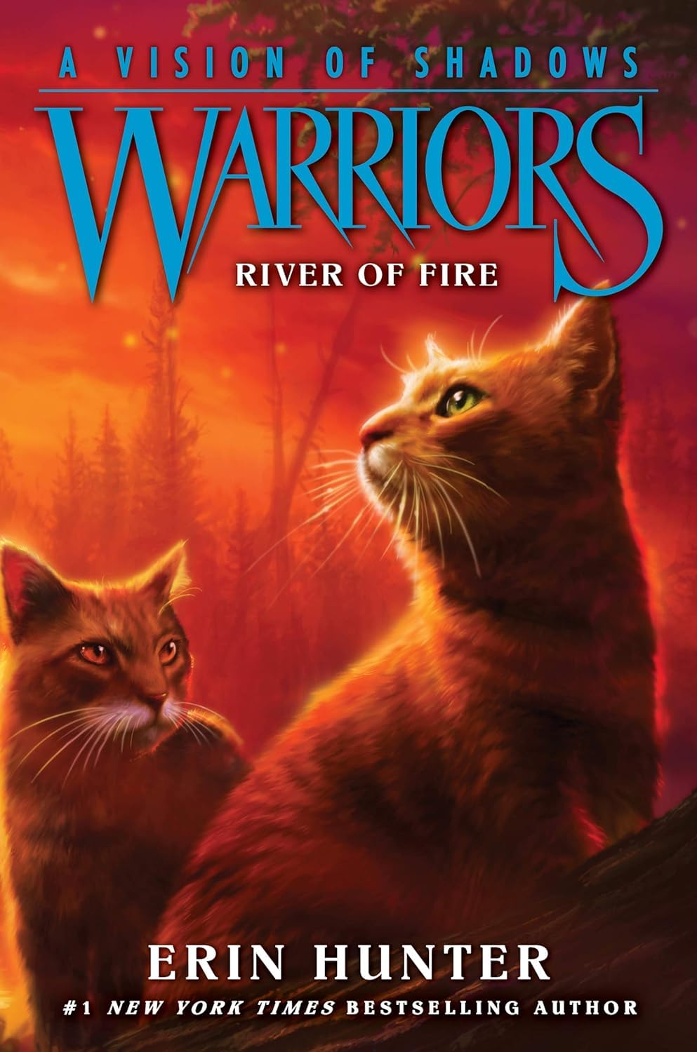 Warriors Cat A Vision of Shadows Series Books 1 - 6 Series 6 Collection Set By Erin Hunter - Lets Buy Books
